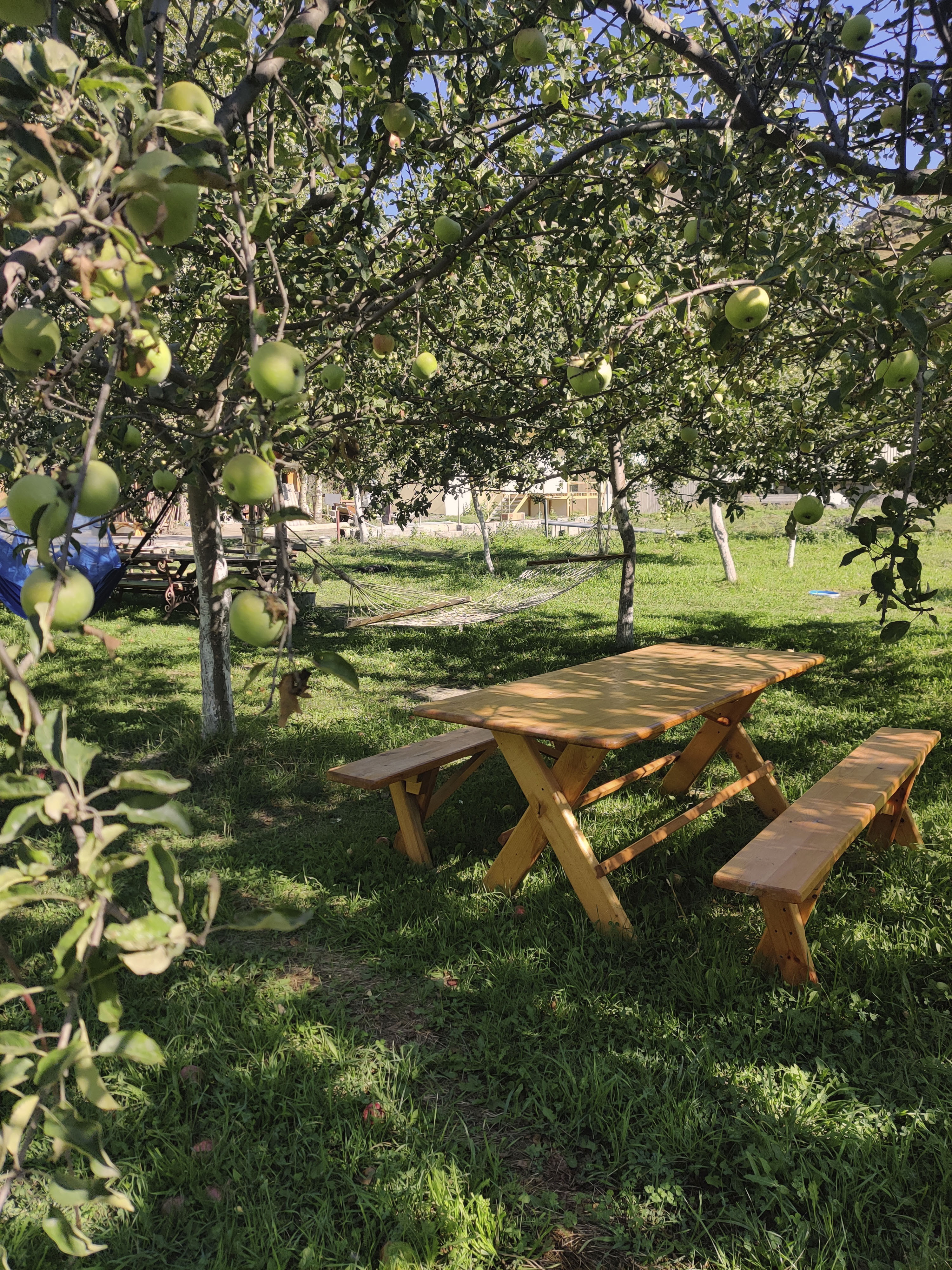 Фото Рагдан