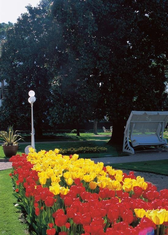 Фото Hotel Europa Terme