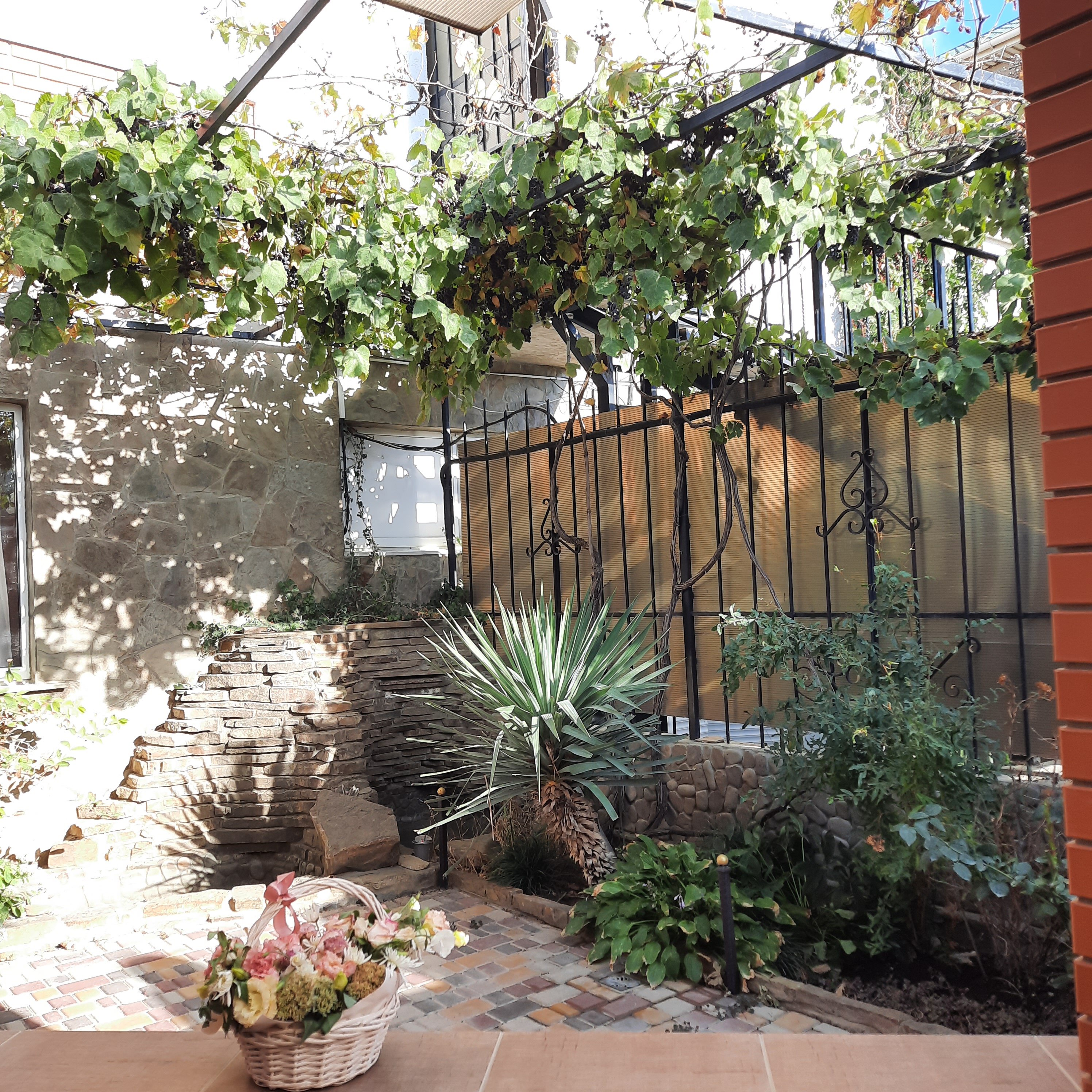 Фото Морской ангел