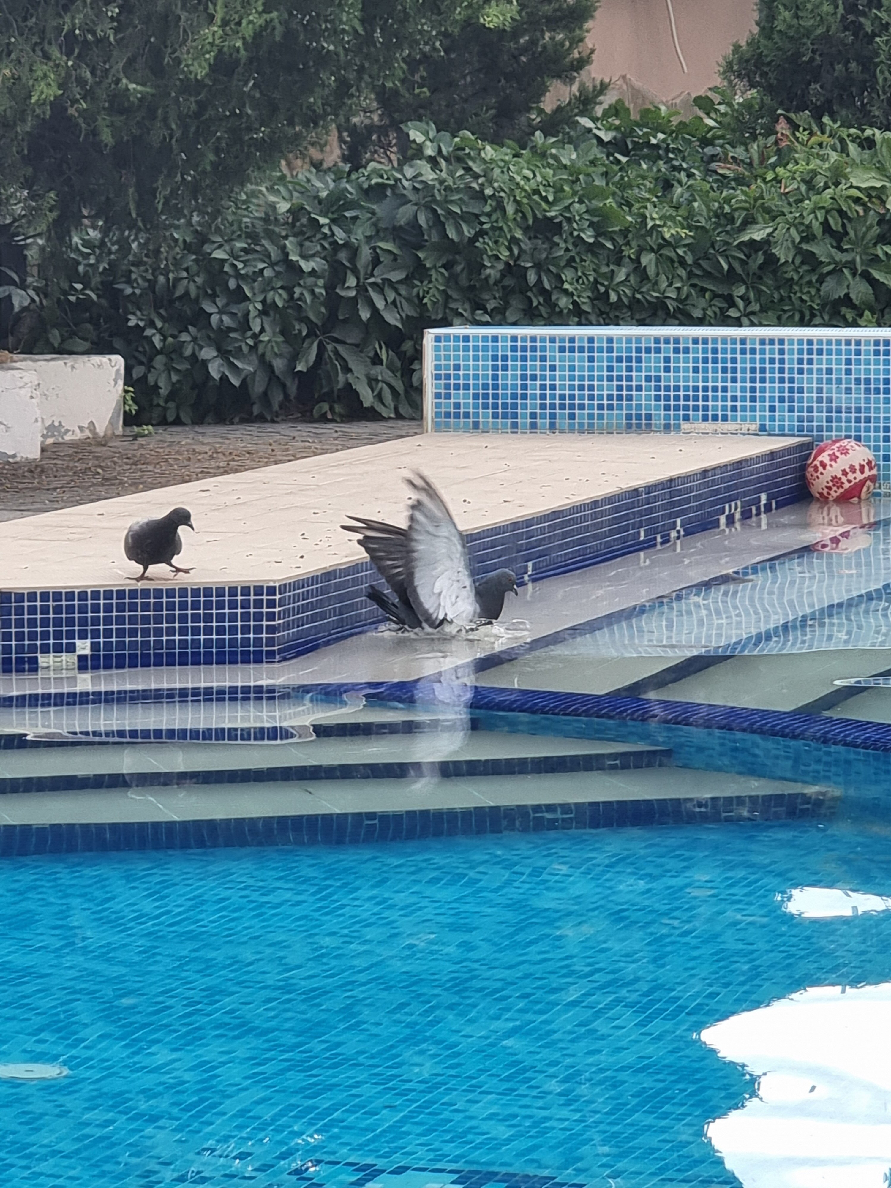 Фото Романтик