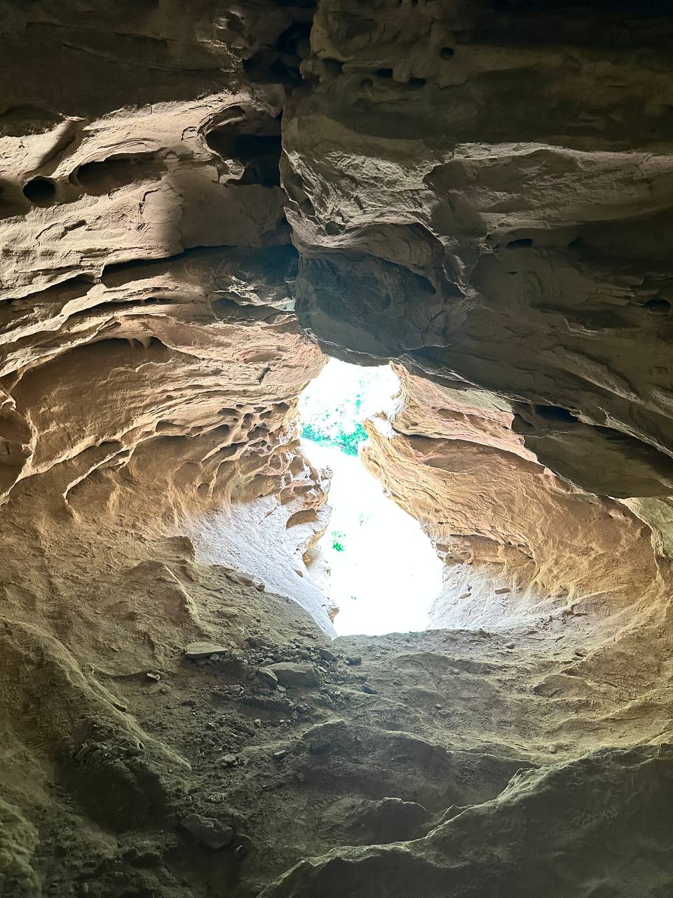 Фото Шафран