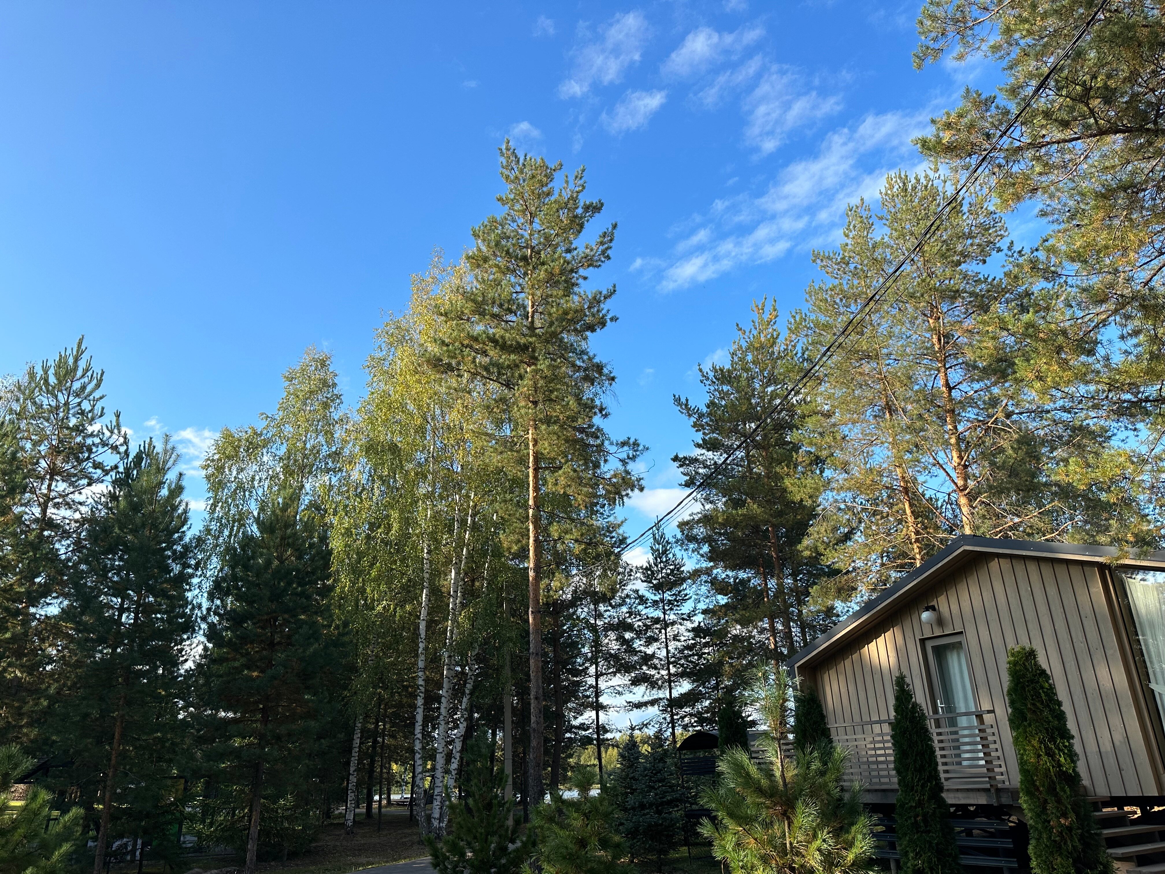 Фото Лунный Кролик