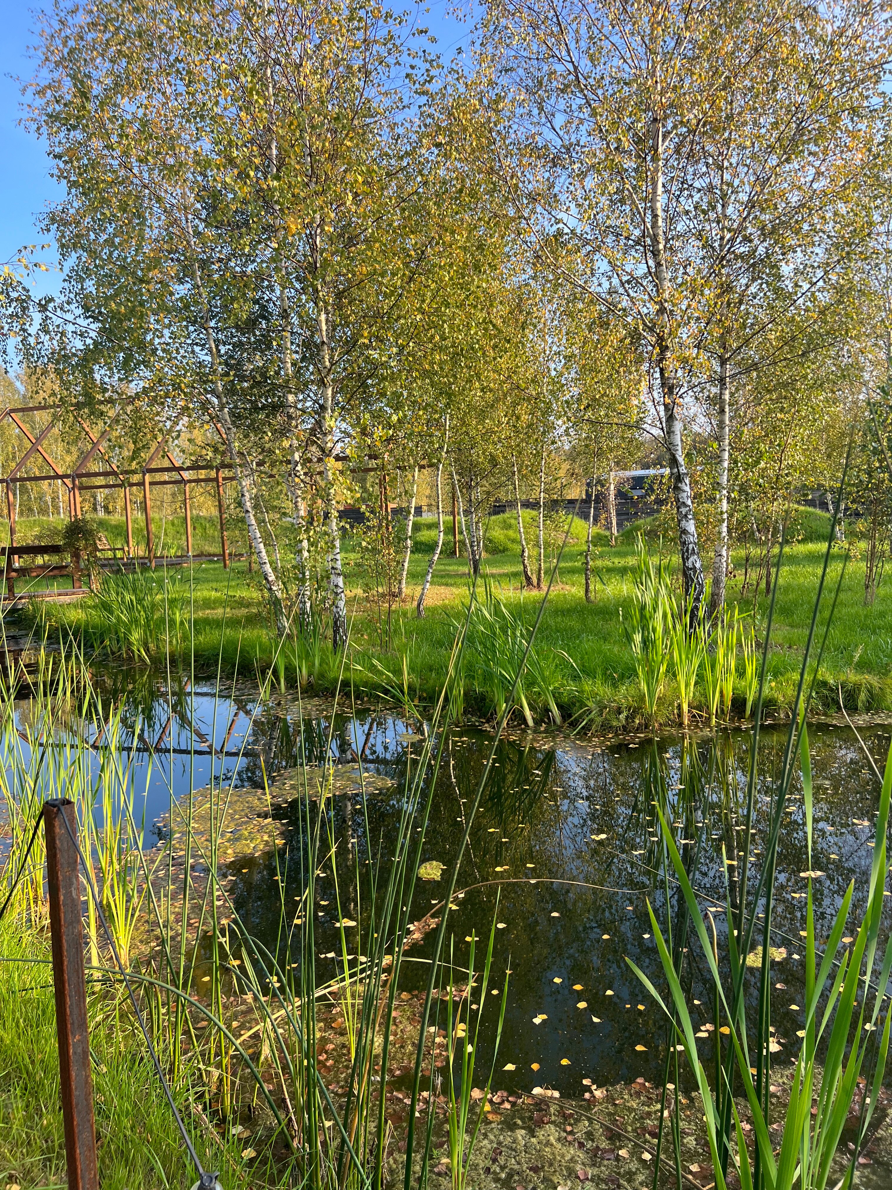 Фото В Поле