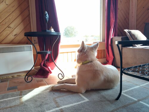 Иное жильё Шанти в Щербининском сельском поселении