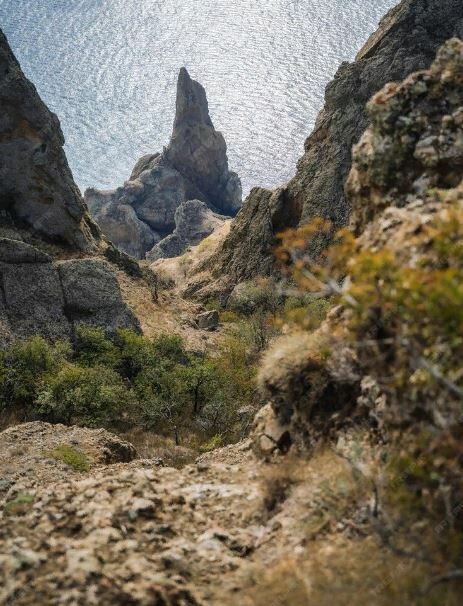 Фото Юнге Арт Кэмп