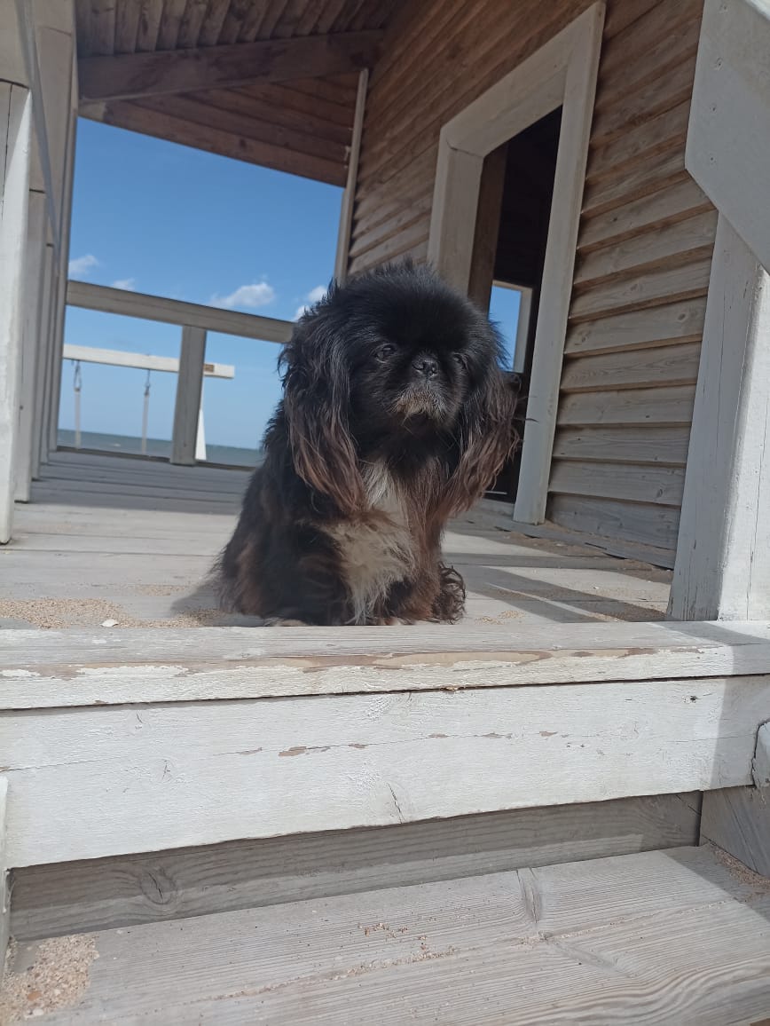 Фото Жемчужина