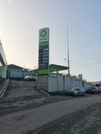 Vitek (Khibinskiy Lane, 2), gas station
