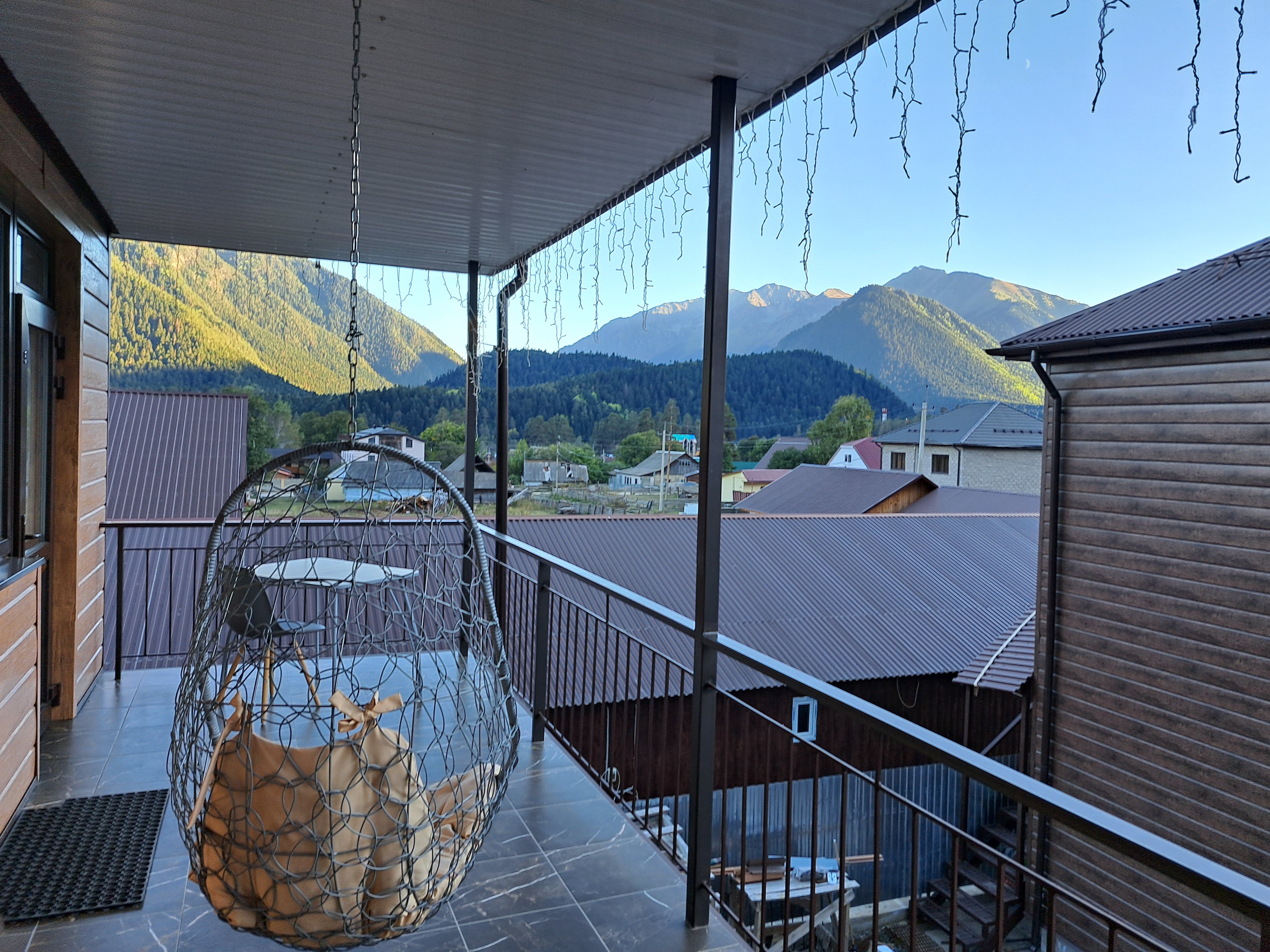 Фото Пихты Snow Point