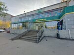 V.V. Bianchi Library (ulitsa 9-y Gvardeyskoy Divizii, 18), library
