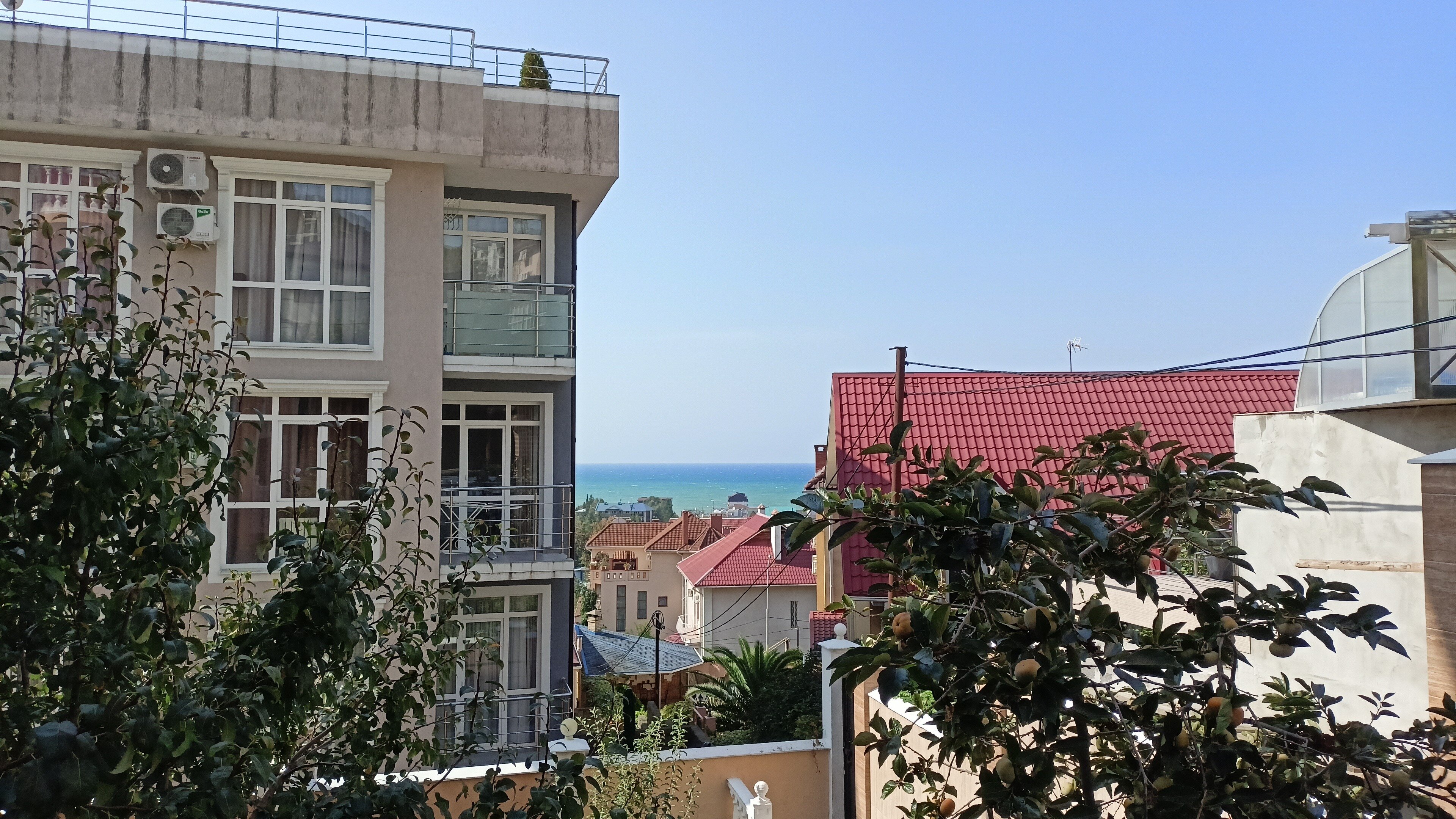 Фото Возрождение