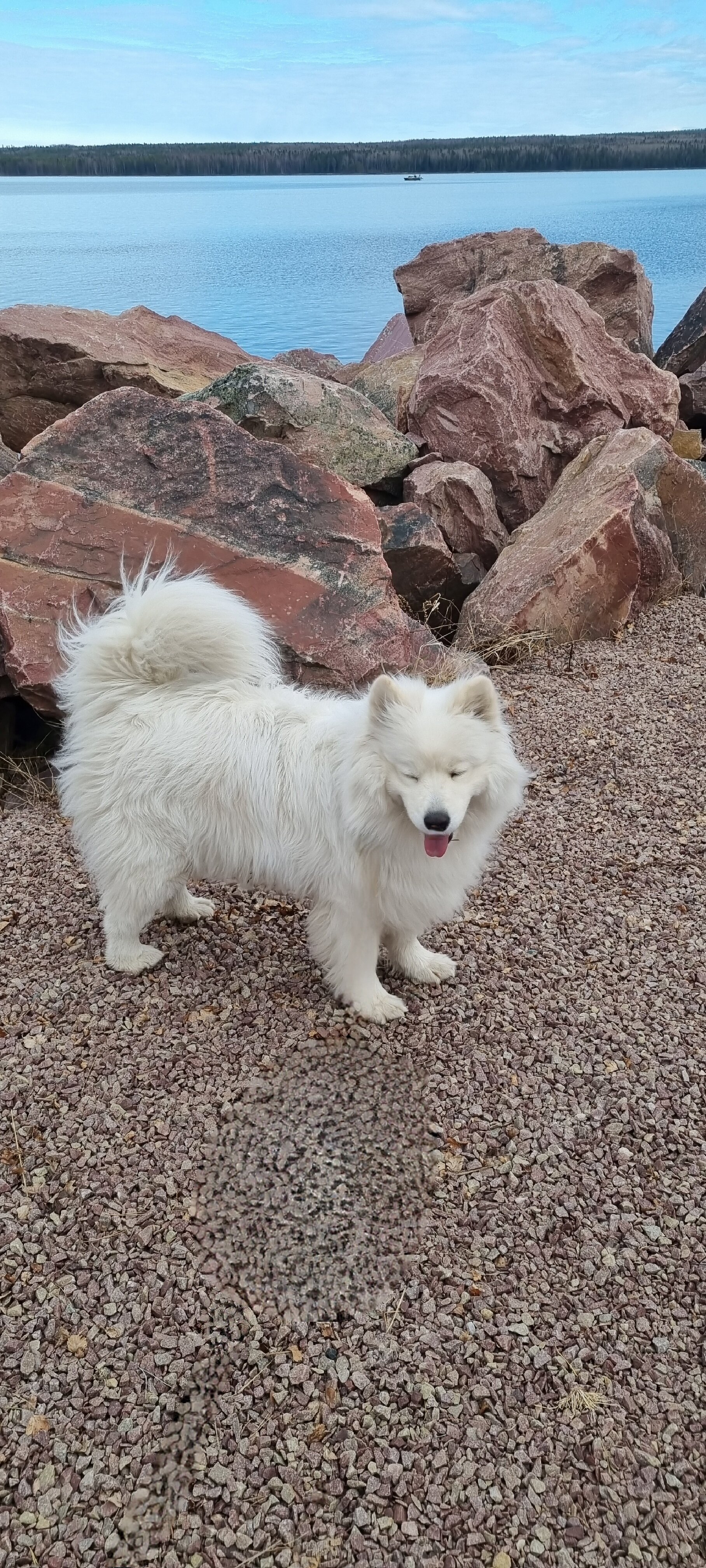 Фото Вепсский Хутор