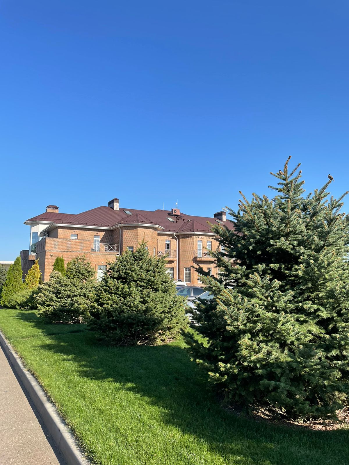 Фото Голден Хорс