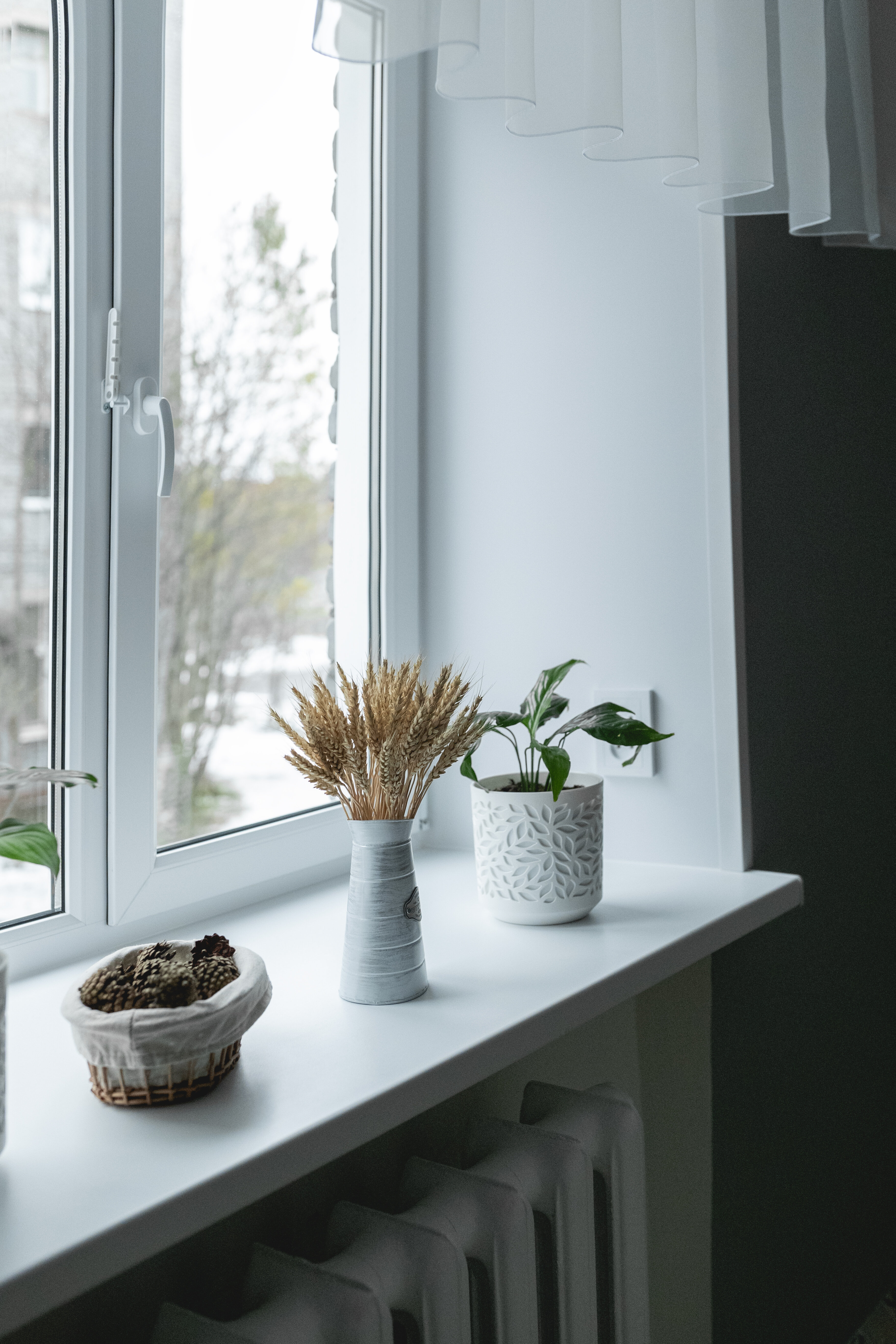 Фото Лопарочка