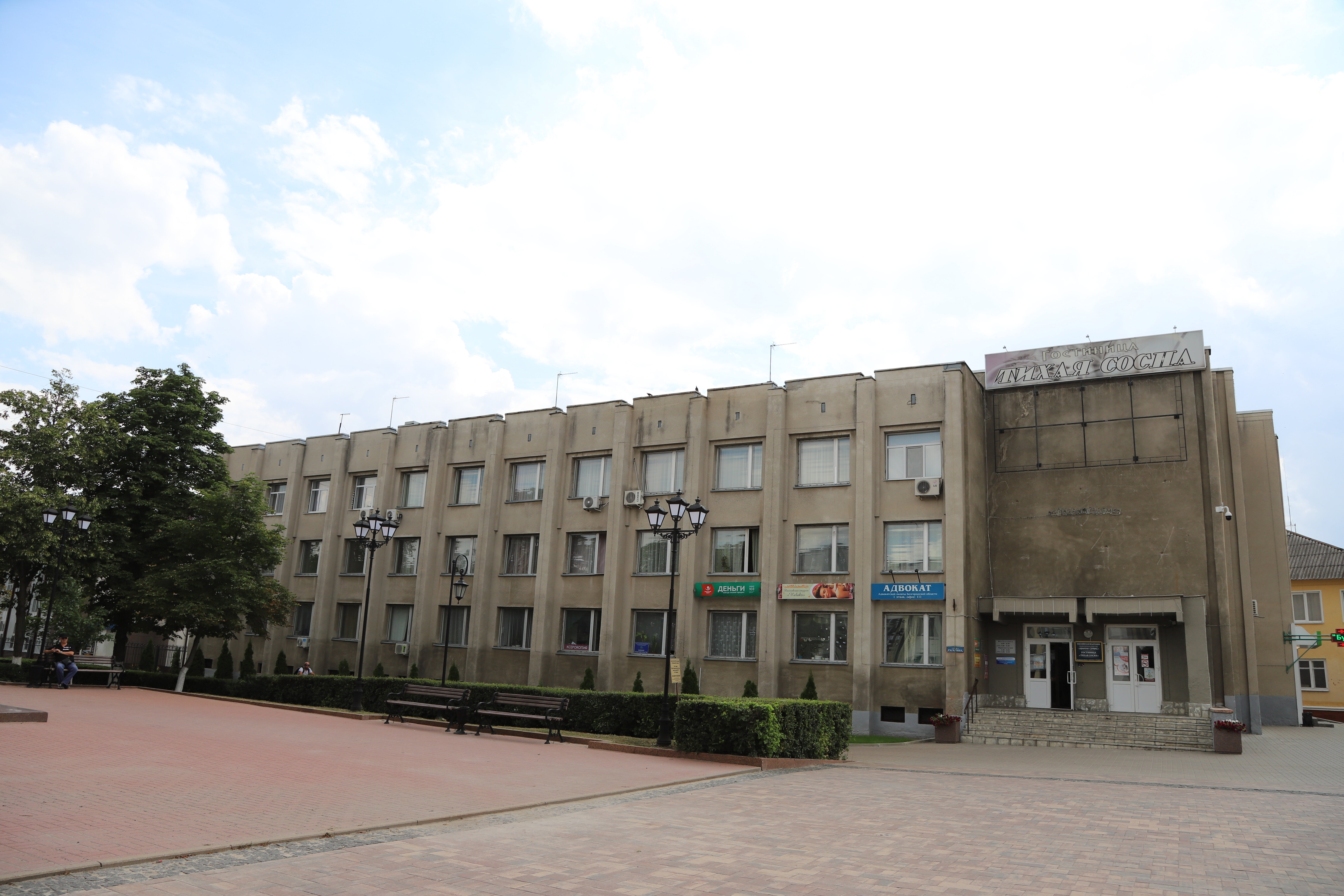 Фото Тихая сосна