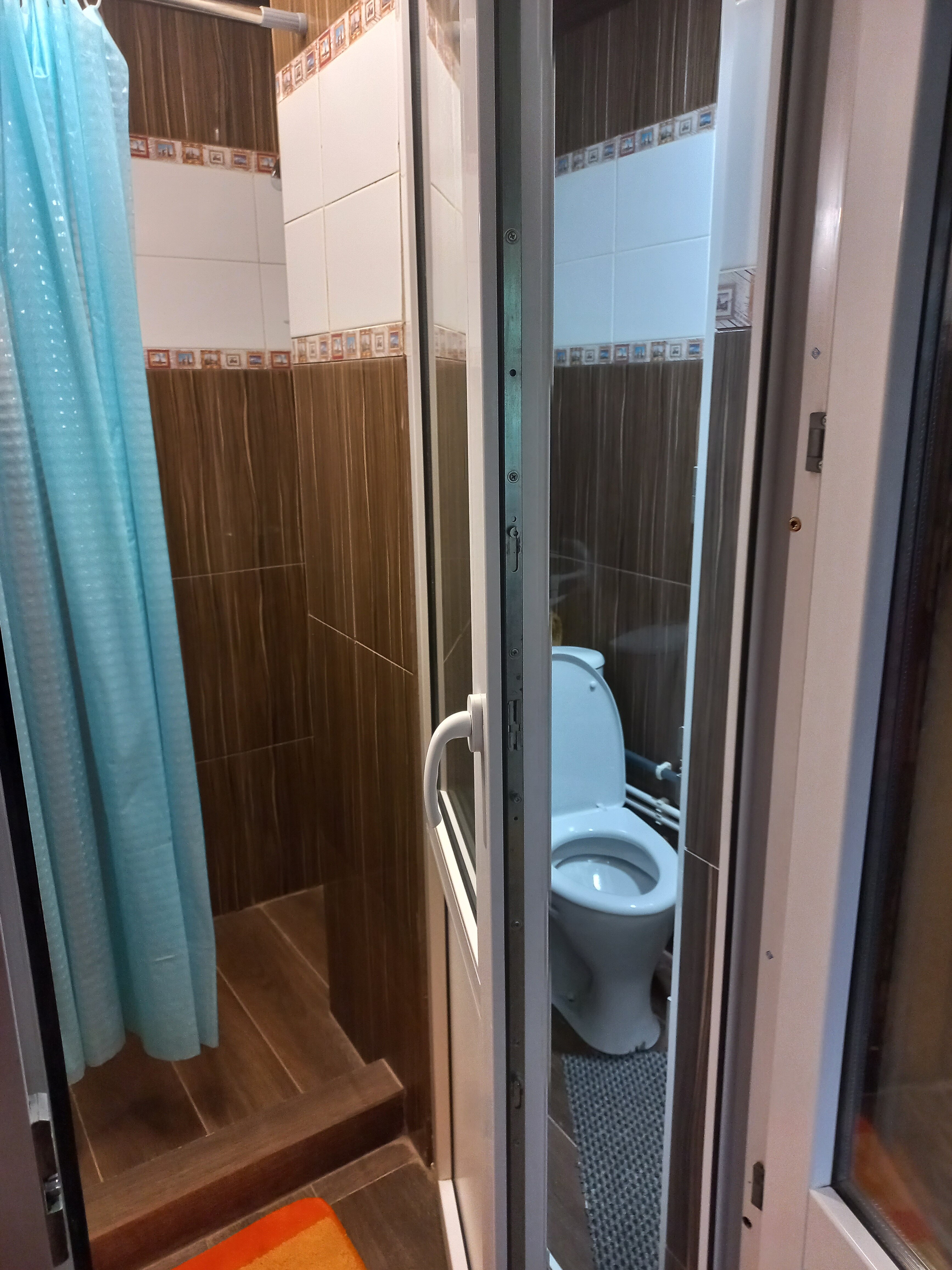 Фото Светлая роща