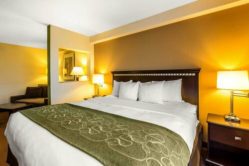 Гостиница Comfort Suites Forsyth near I-75