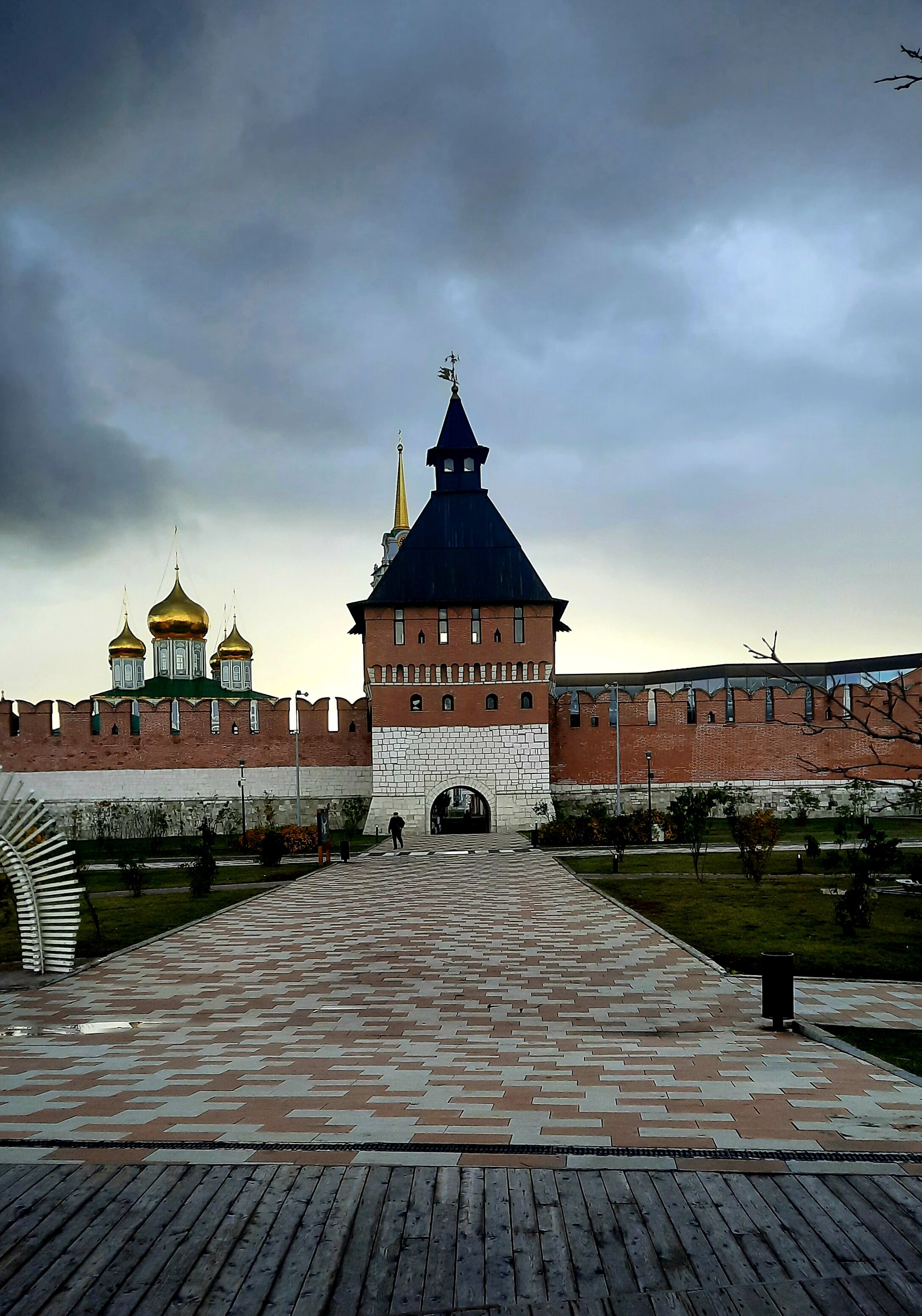 Фото Толстый кот