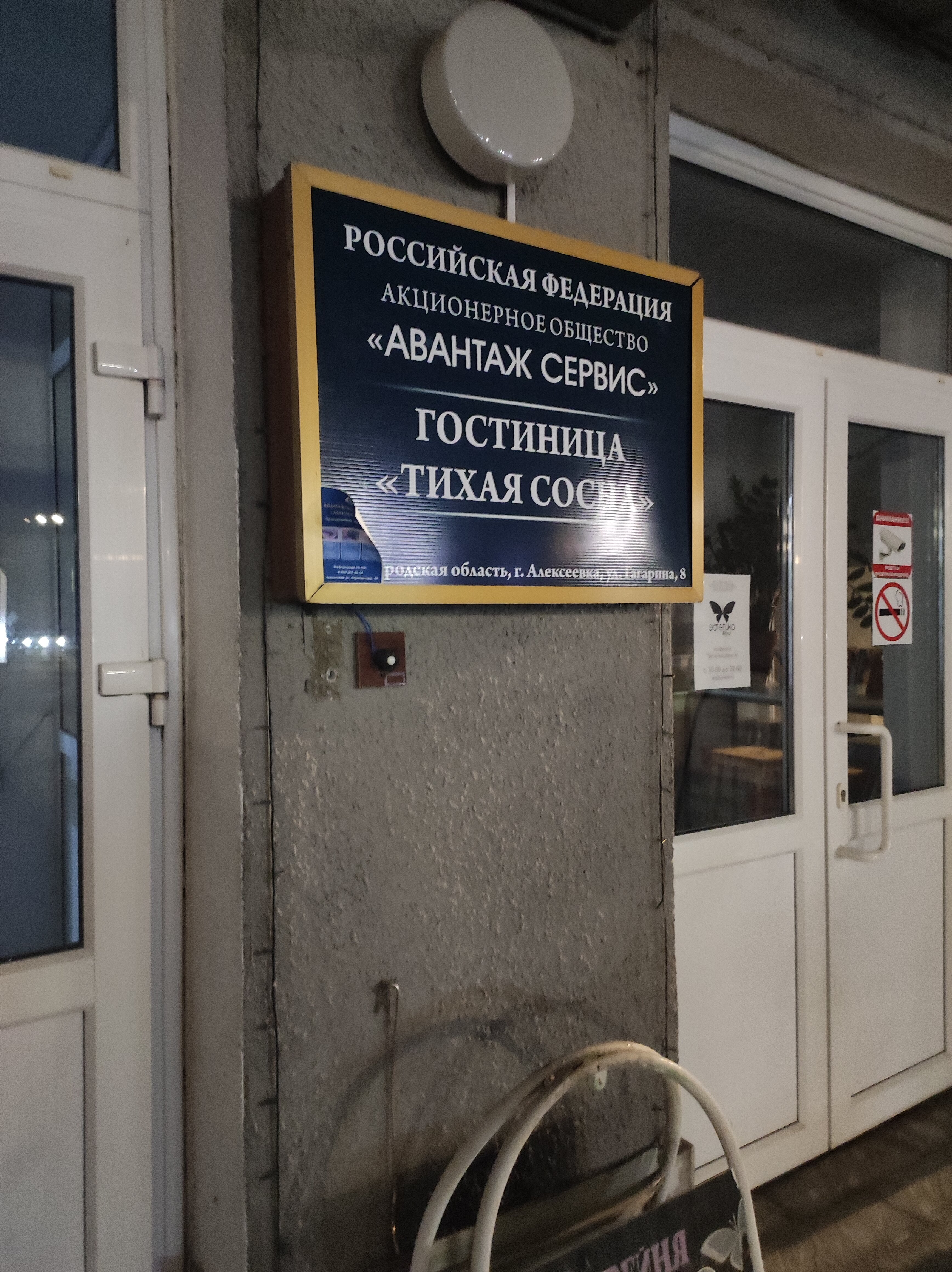 Фото Тихая сосна