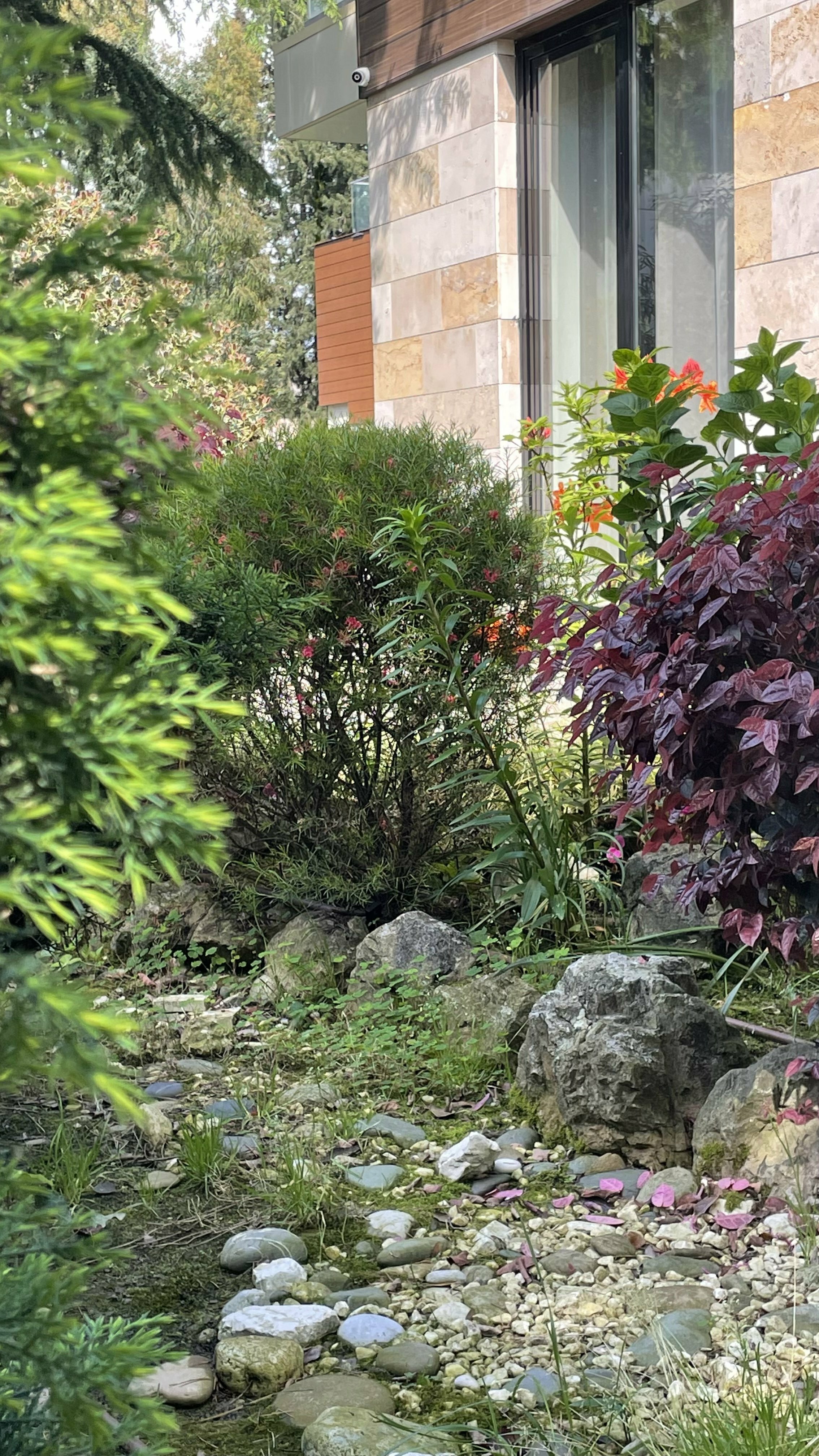 Фото Pulsar Villa Deluxe