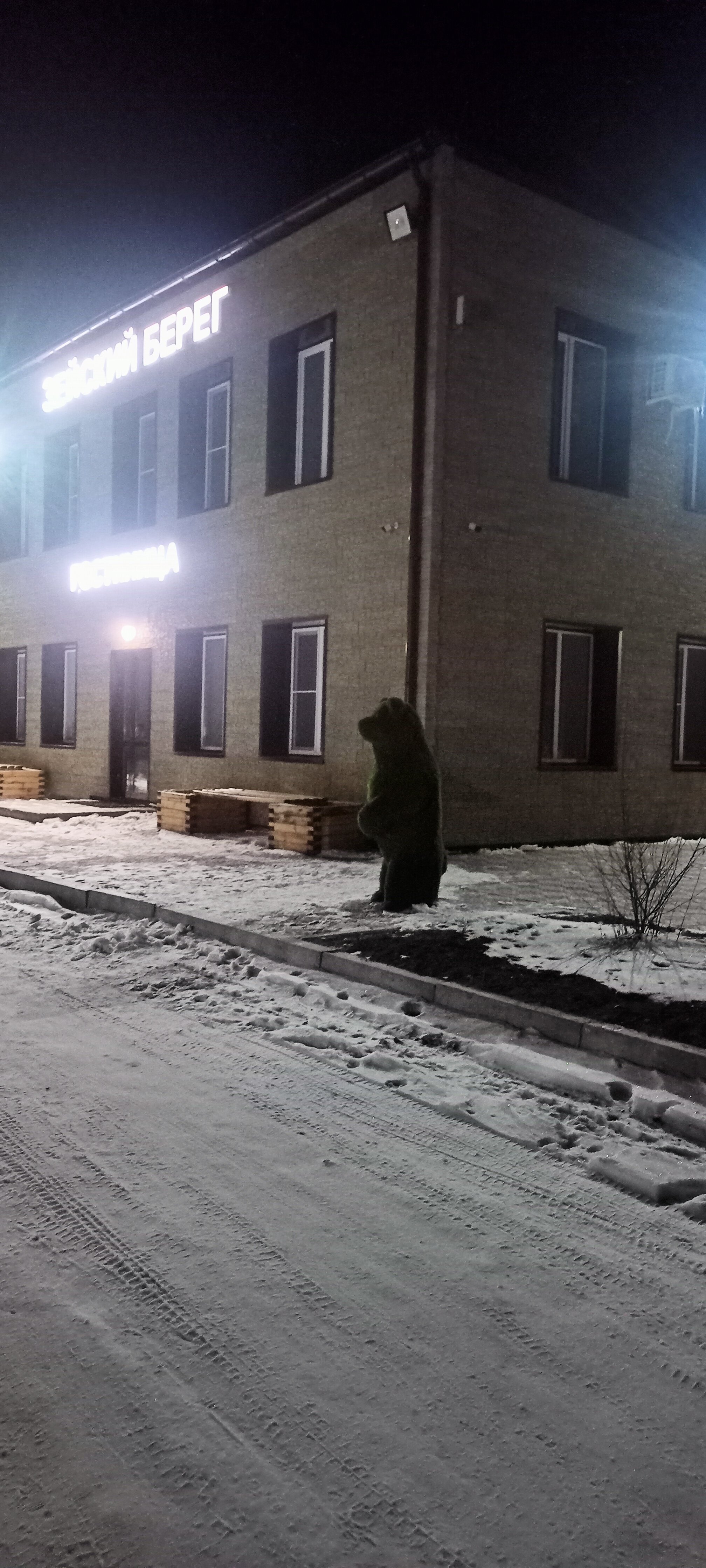 Фото Зейский берег