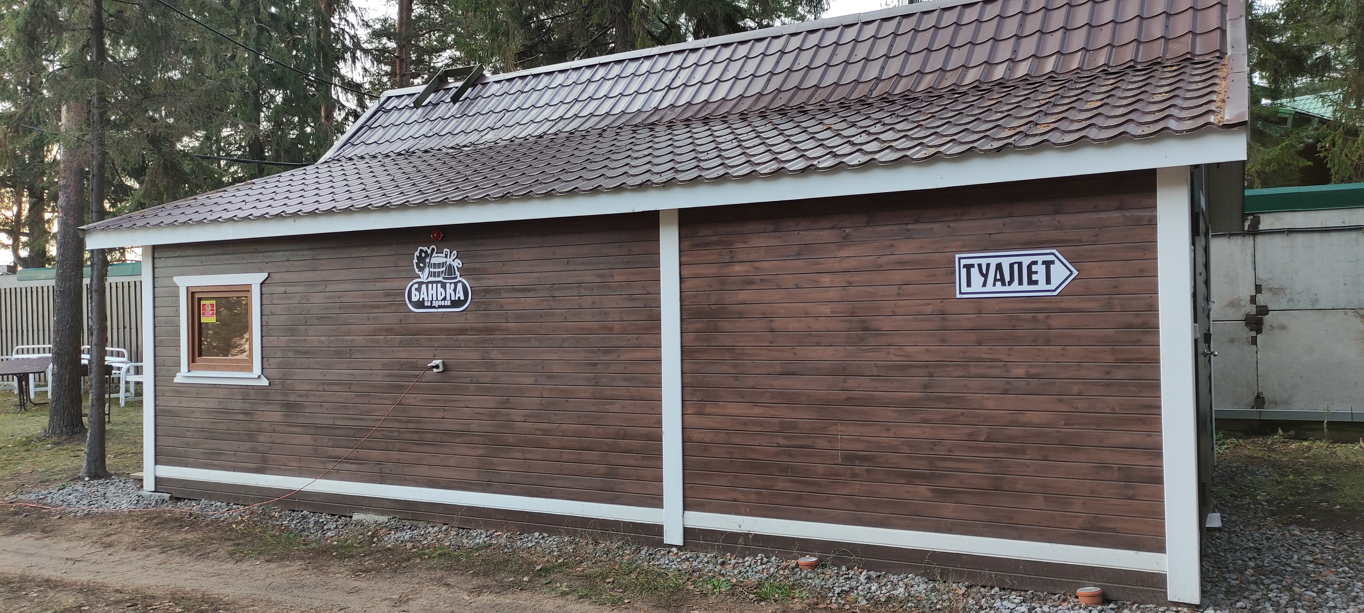 Фото Солнечный бор