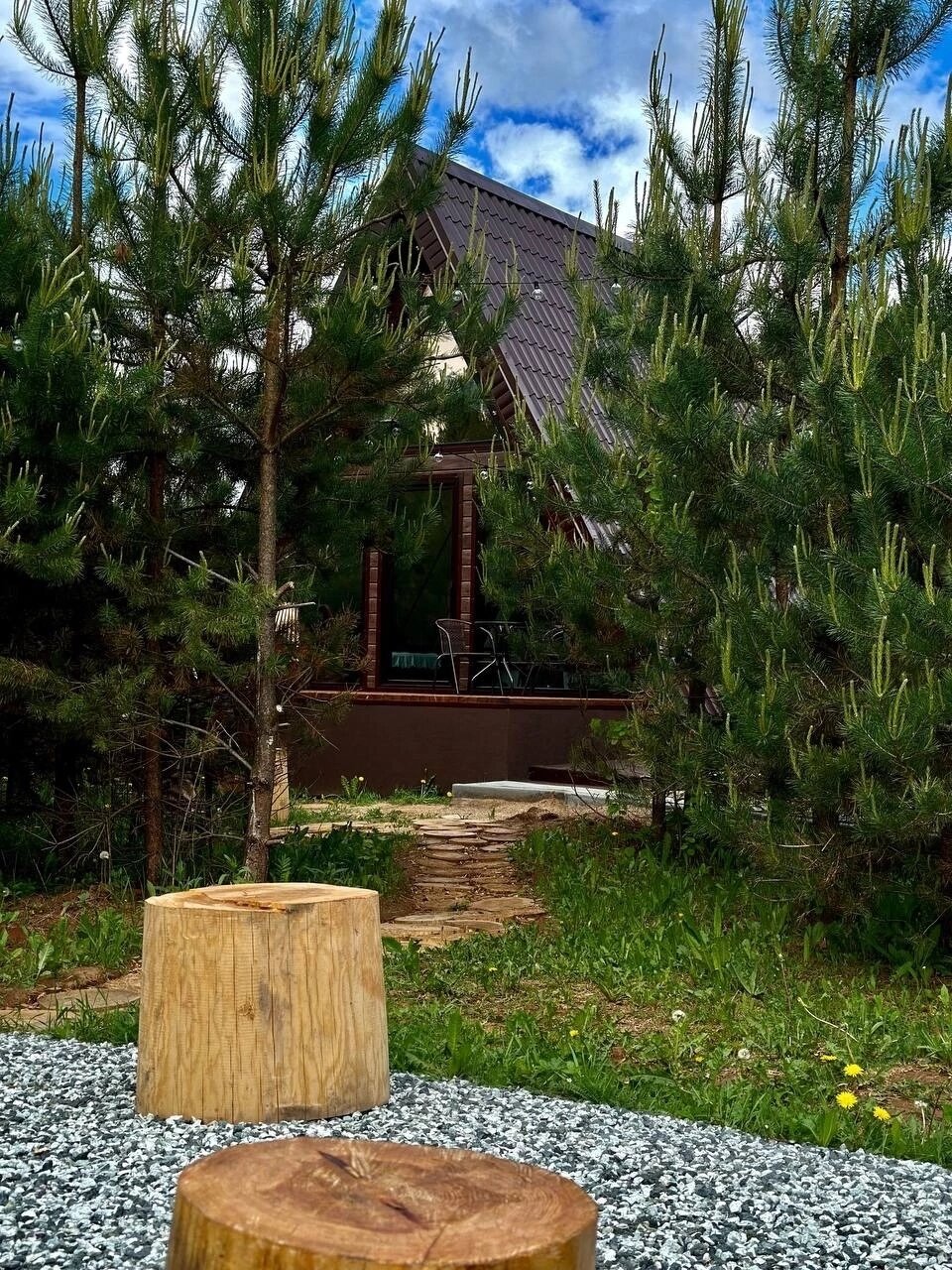 Фото Forest camp