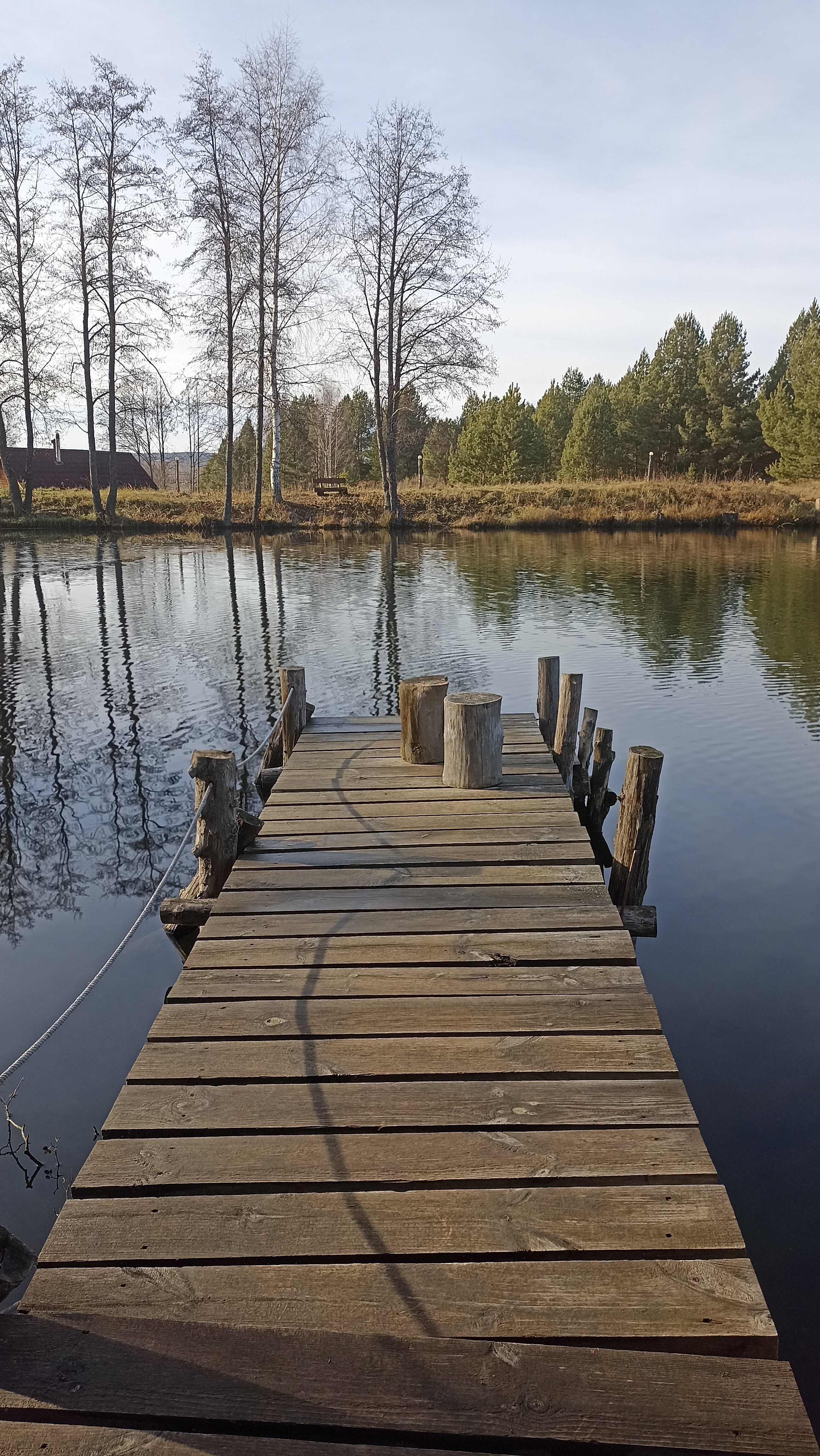 Фото Парк Чёшталей