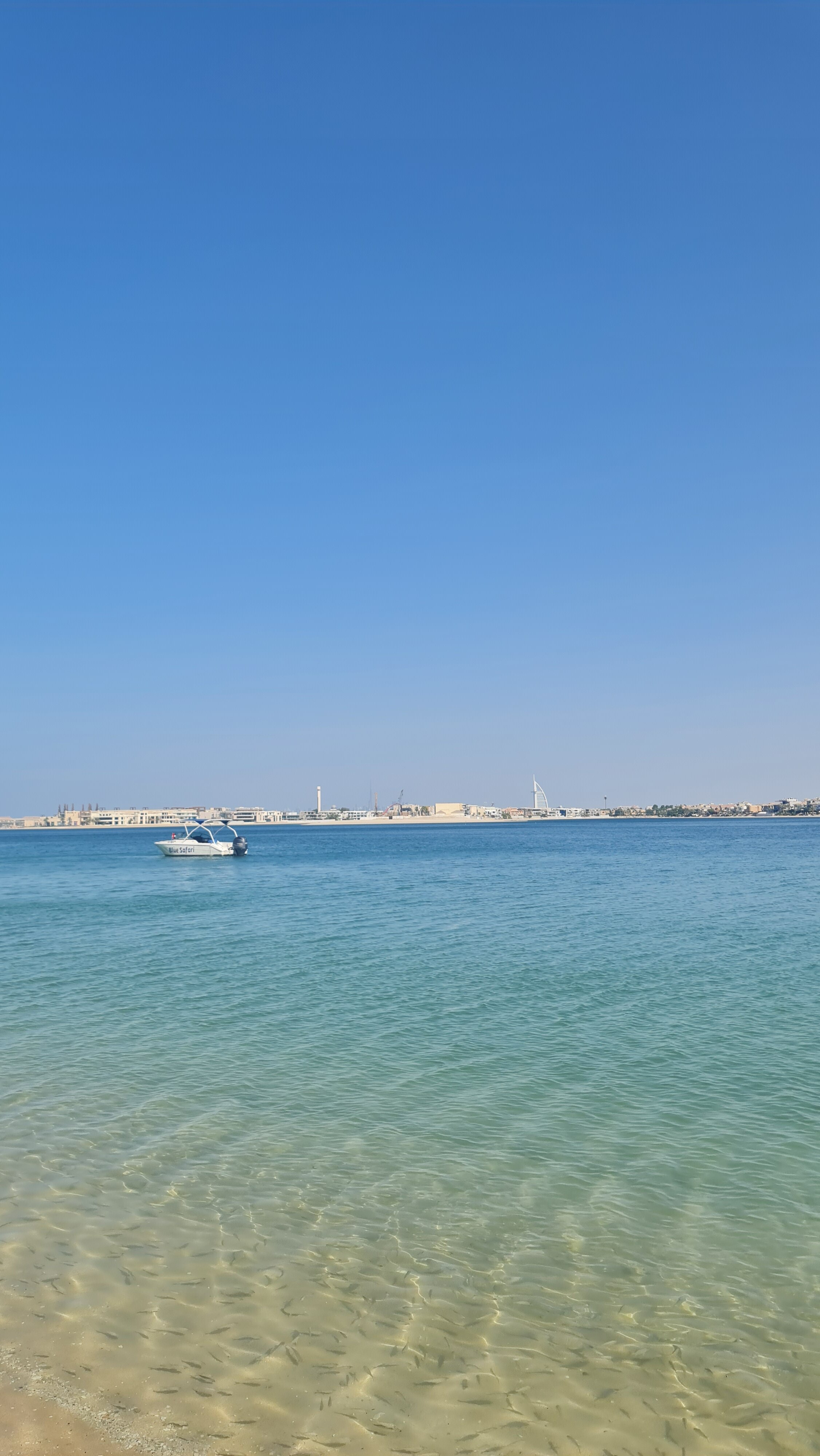 Фото Th8 Palm Dubai Beach Resort by IHG Dubai