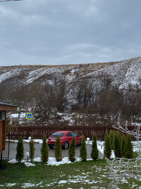 Фото Тихие Дивы