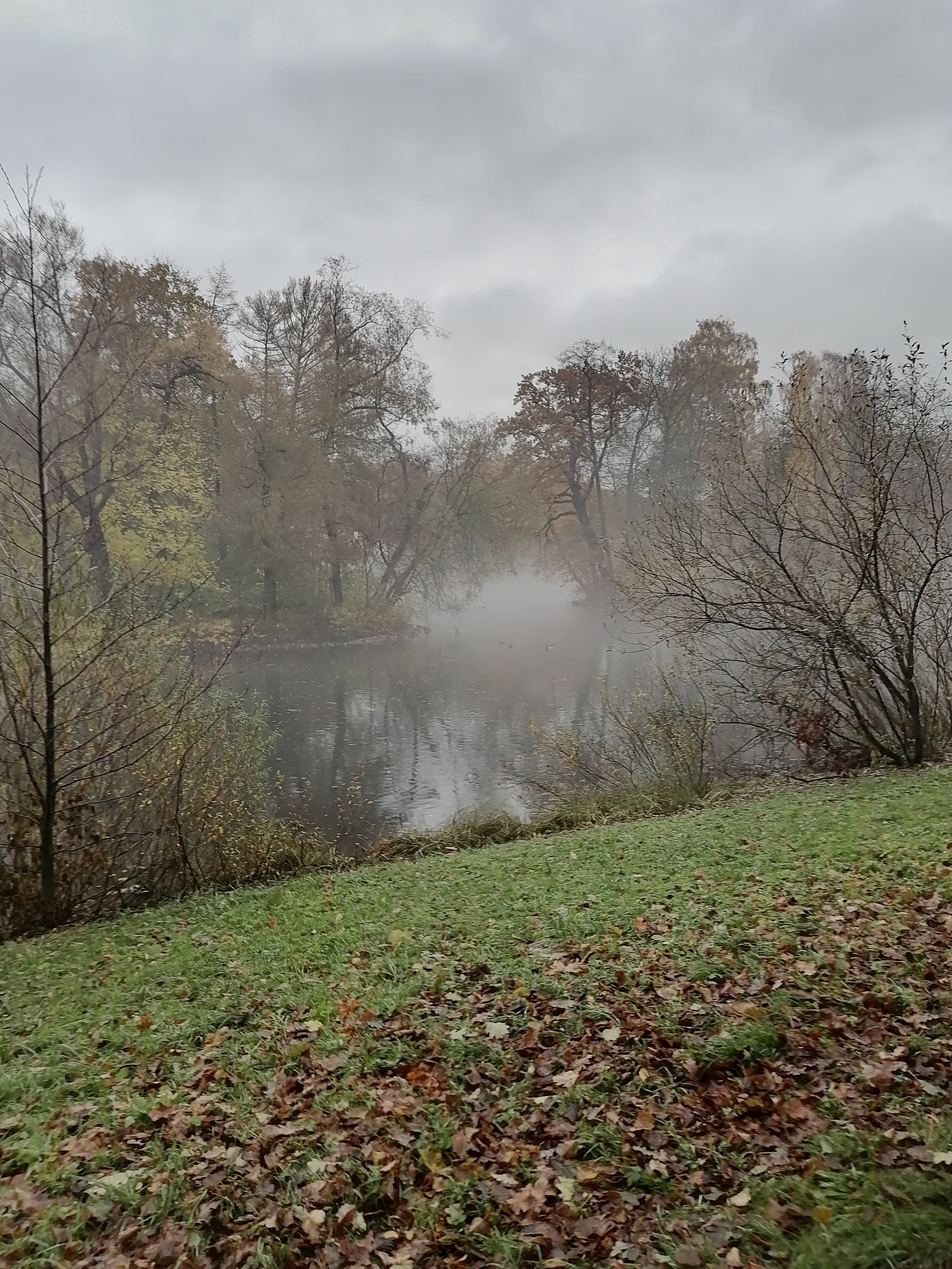 Фото АпартПейдж Елагин