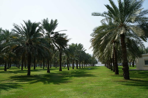 Al Nakheel Oasis, park, Park Buhaira Cornish, Al Majaz, Sharjah — Yango Maps