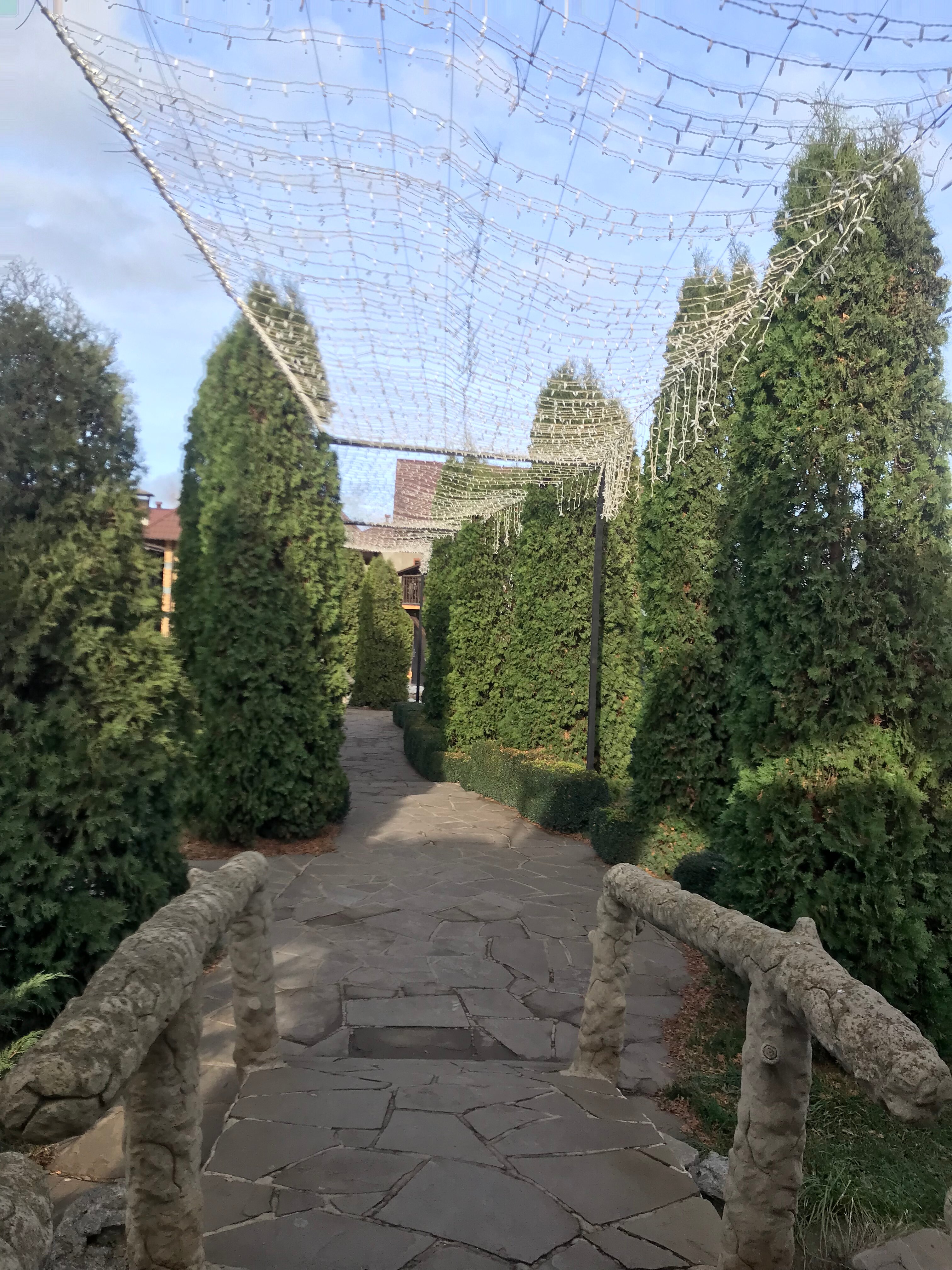 Фото Парнас