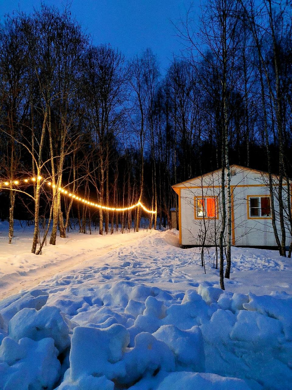 Фото Модная коза