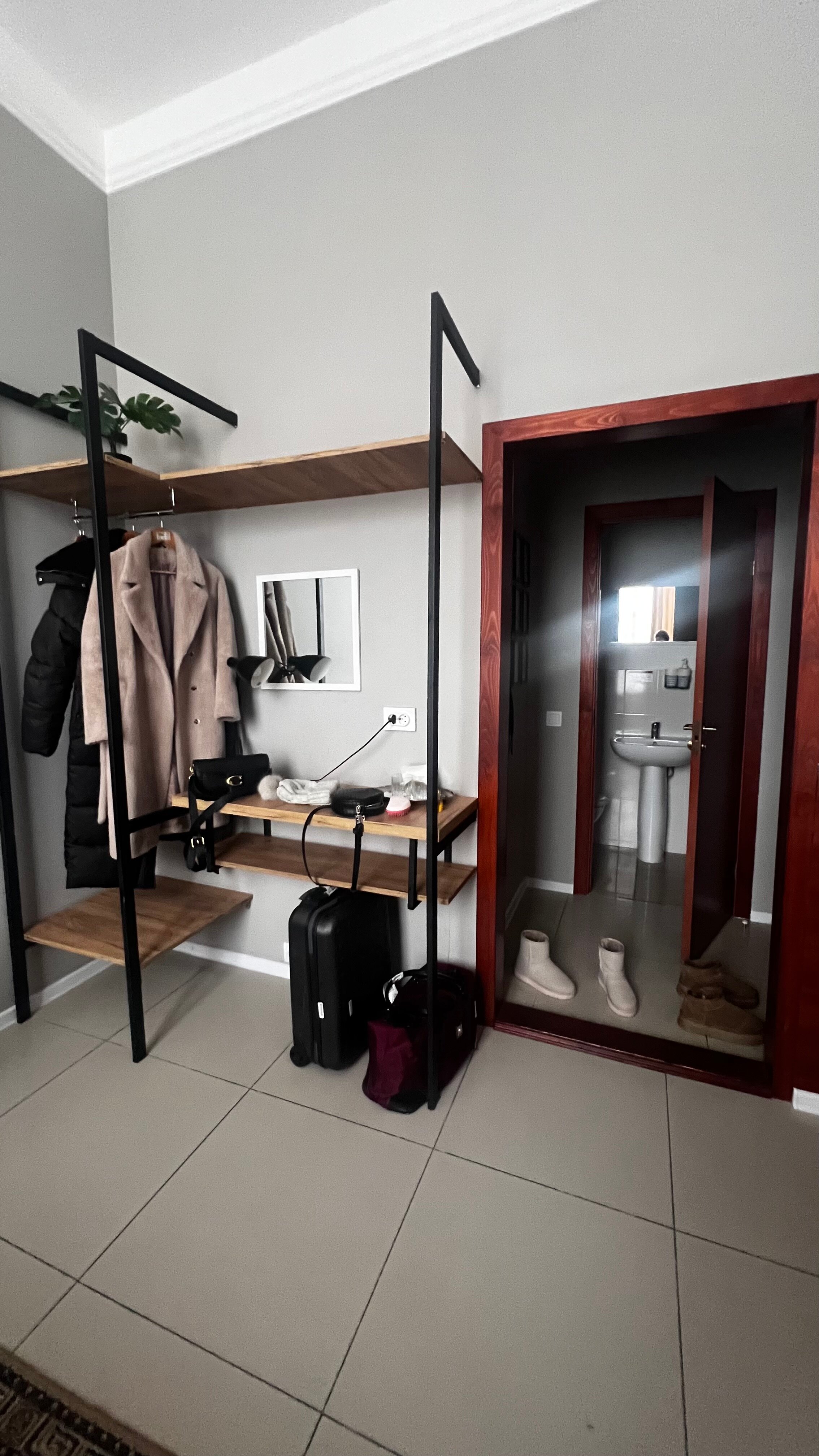 Фото Калина