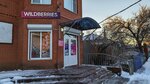 Wildberries (Pionerskaya ulitsa, 92), point of delivery