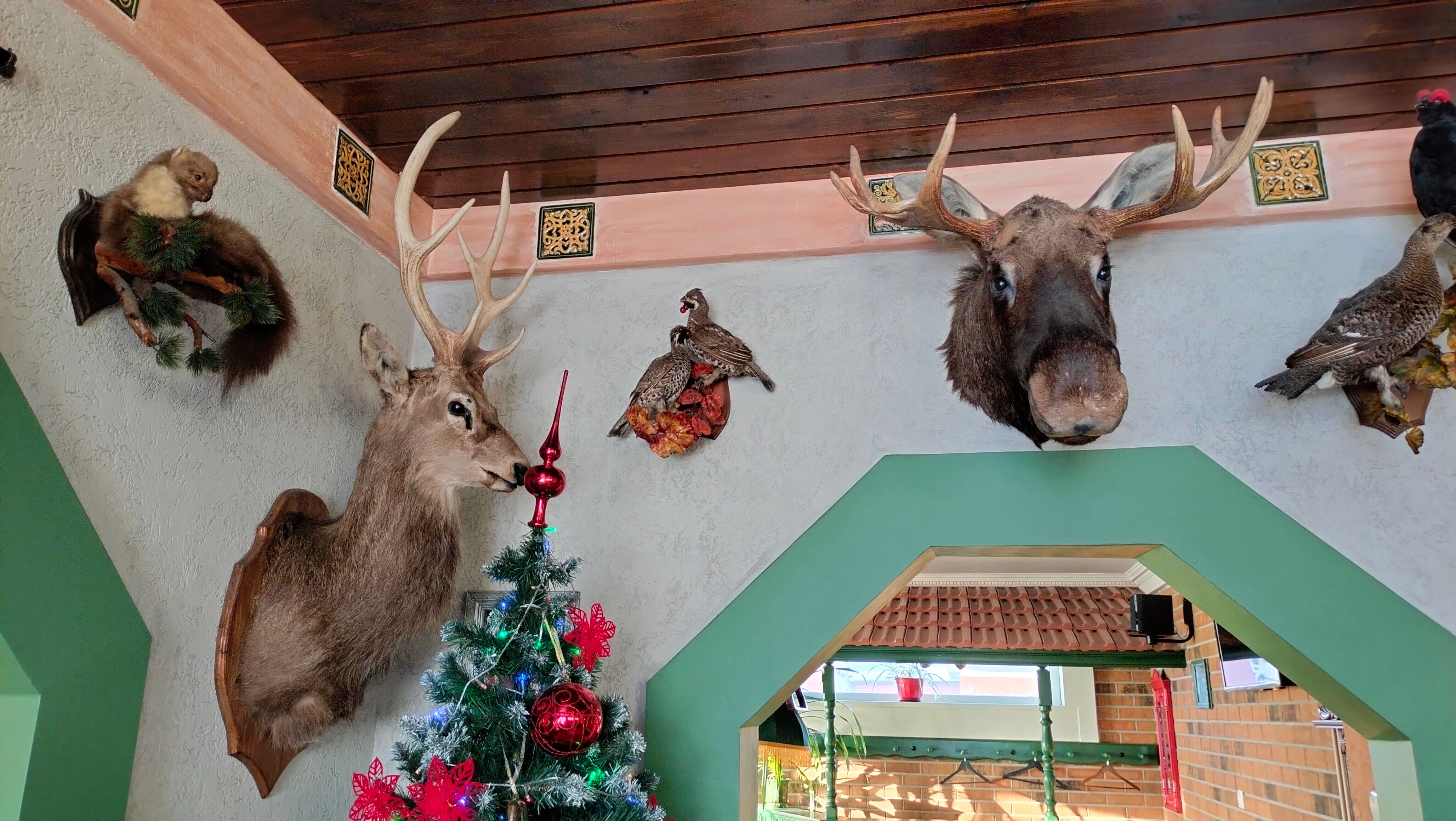 Фото Мотель Илевники