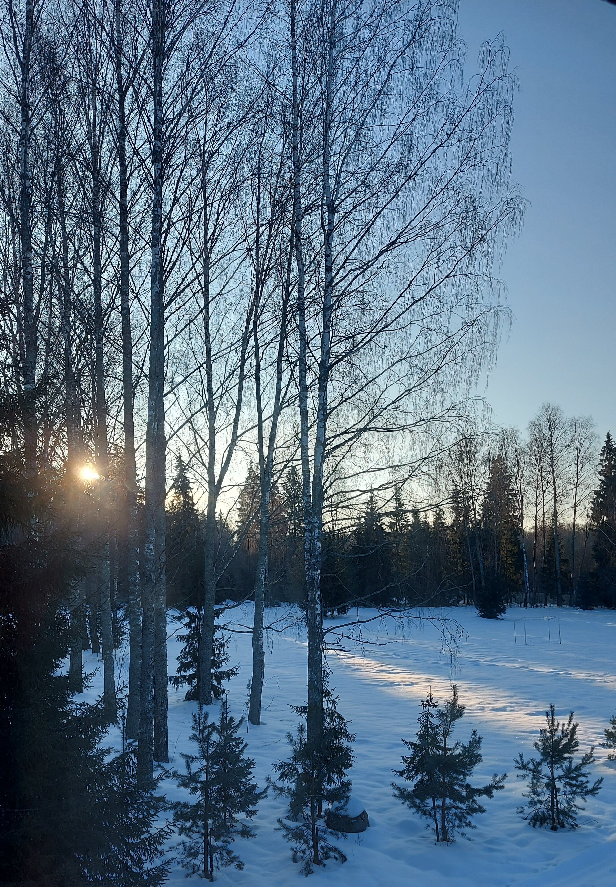 Фото Рябеевская поляна