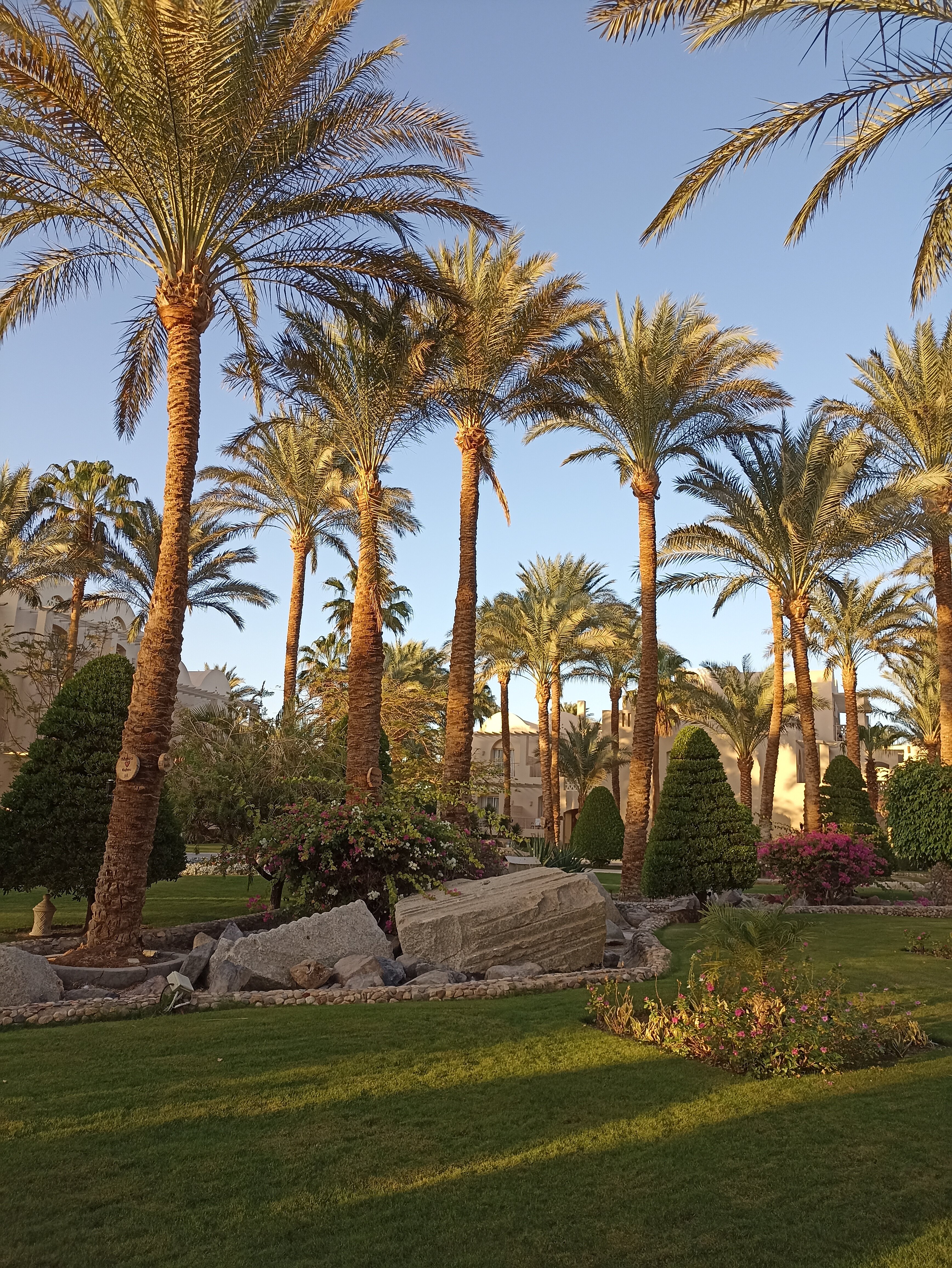 Фото Иберотель Макади Бич