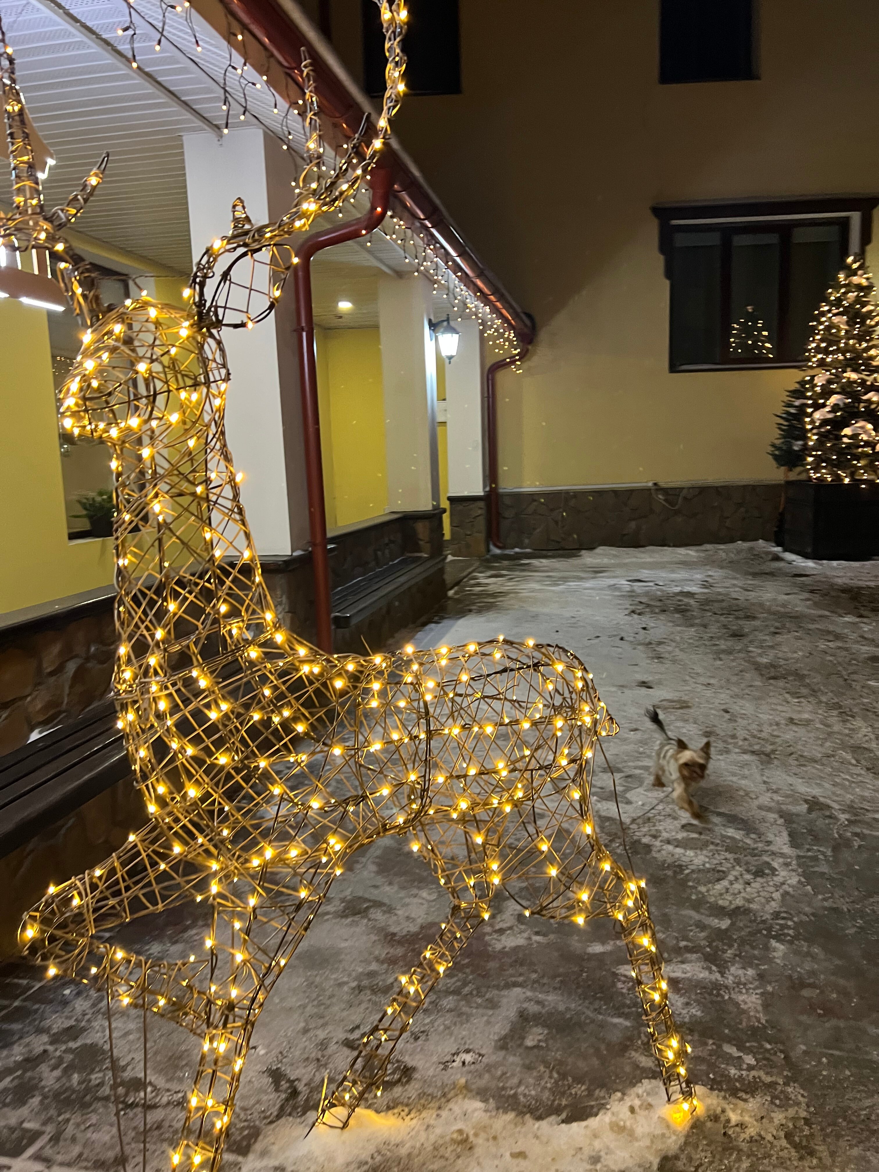 Фото Дом Отель Классик