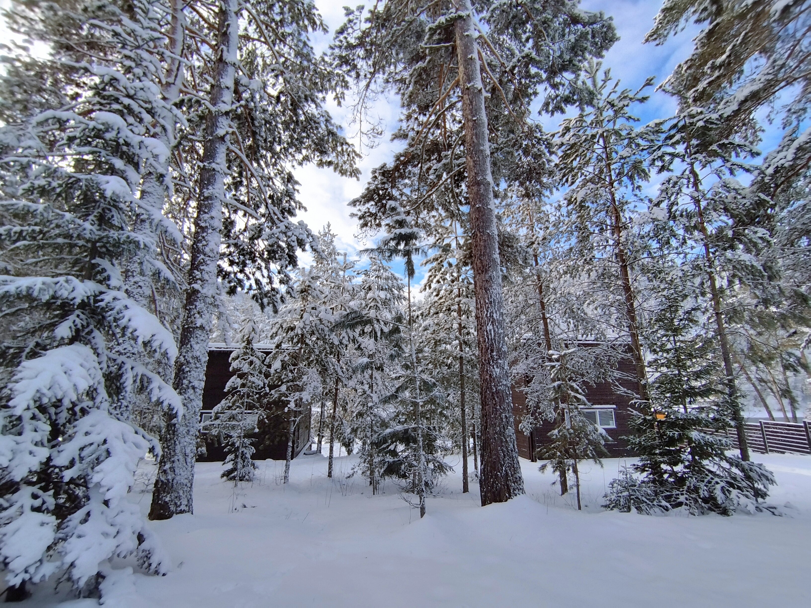 Фото Ecohouse on Artybash