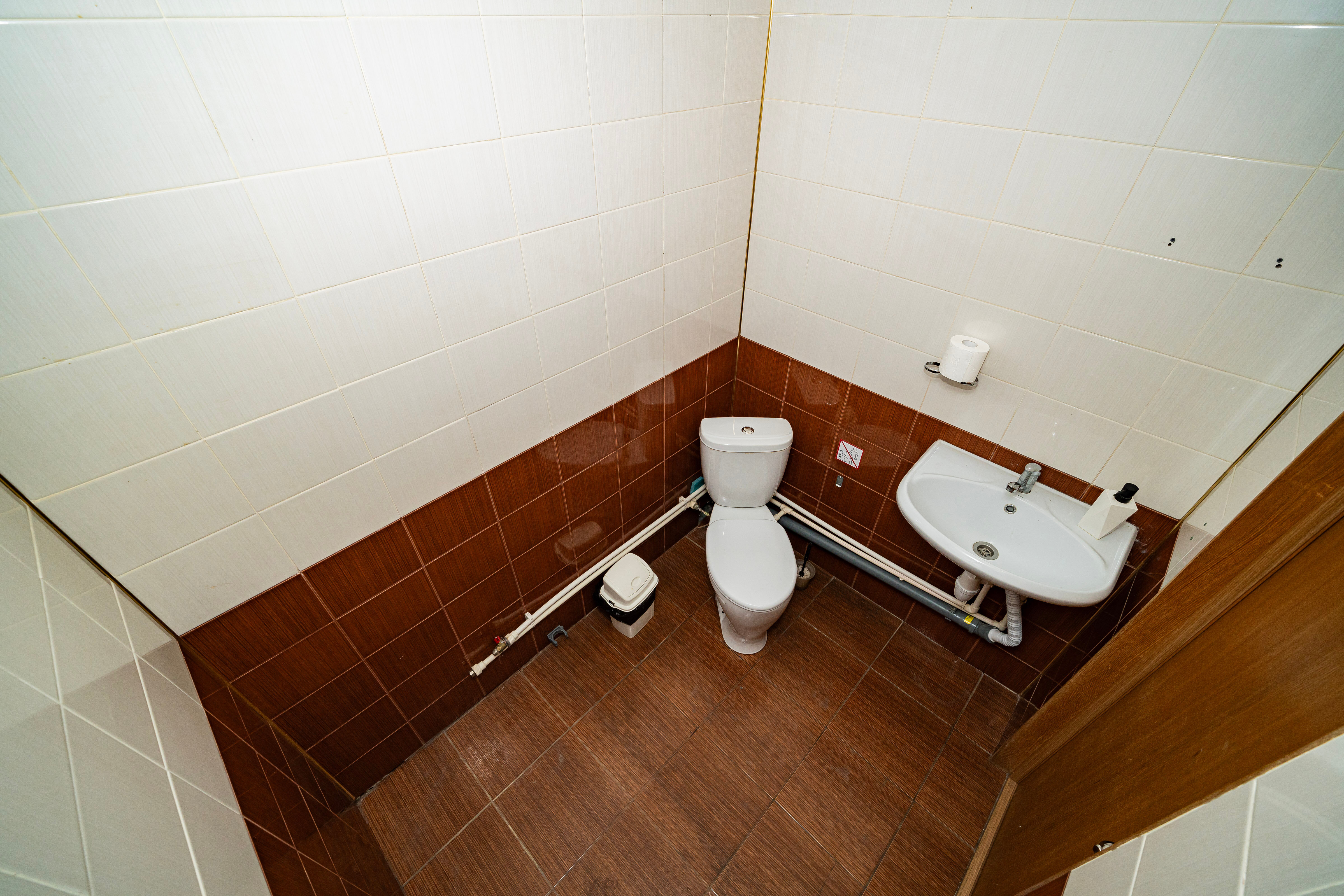 Фото Пальмы