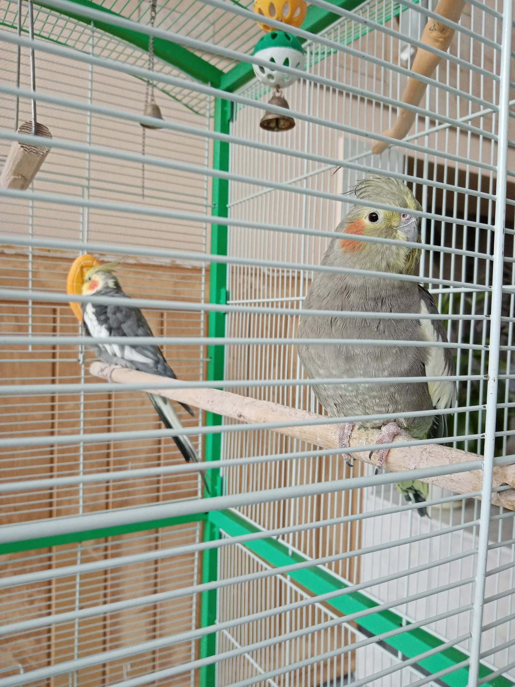 Фото Юбилейный