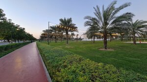Al Safia Park Musherief Ajman (Al Safia Park, City Center Sector, Ajman), park