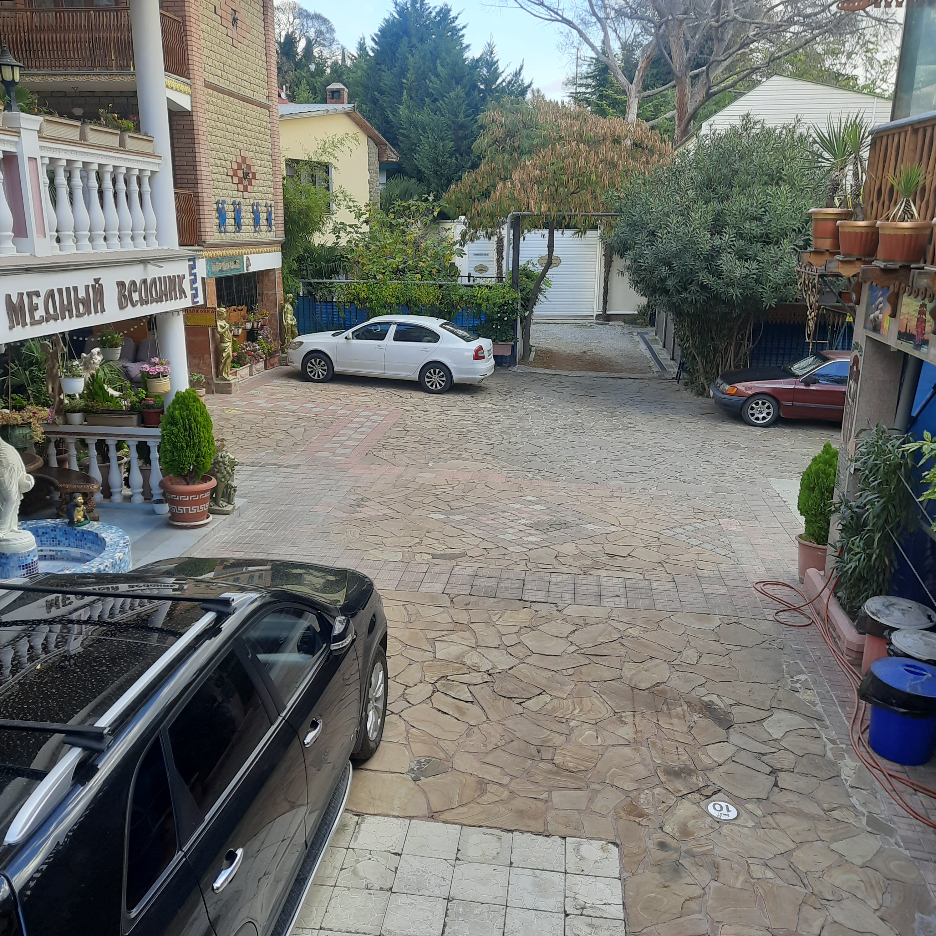 Фото Медный всадник