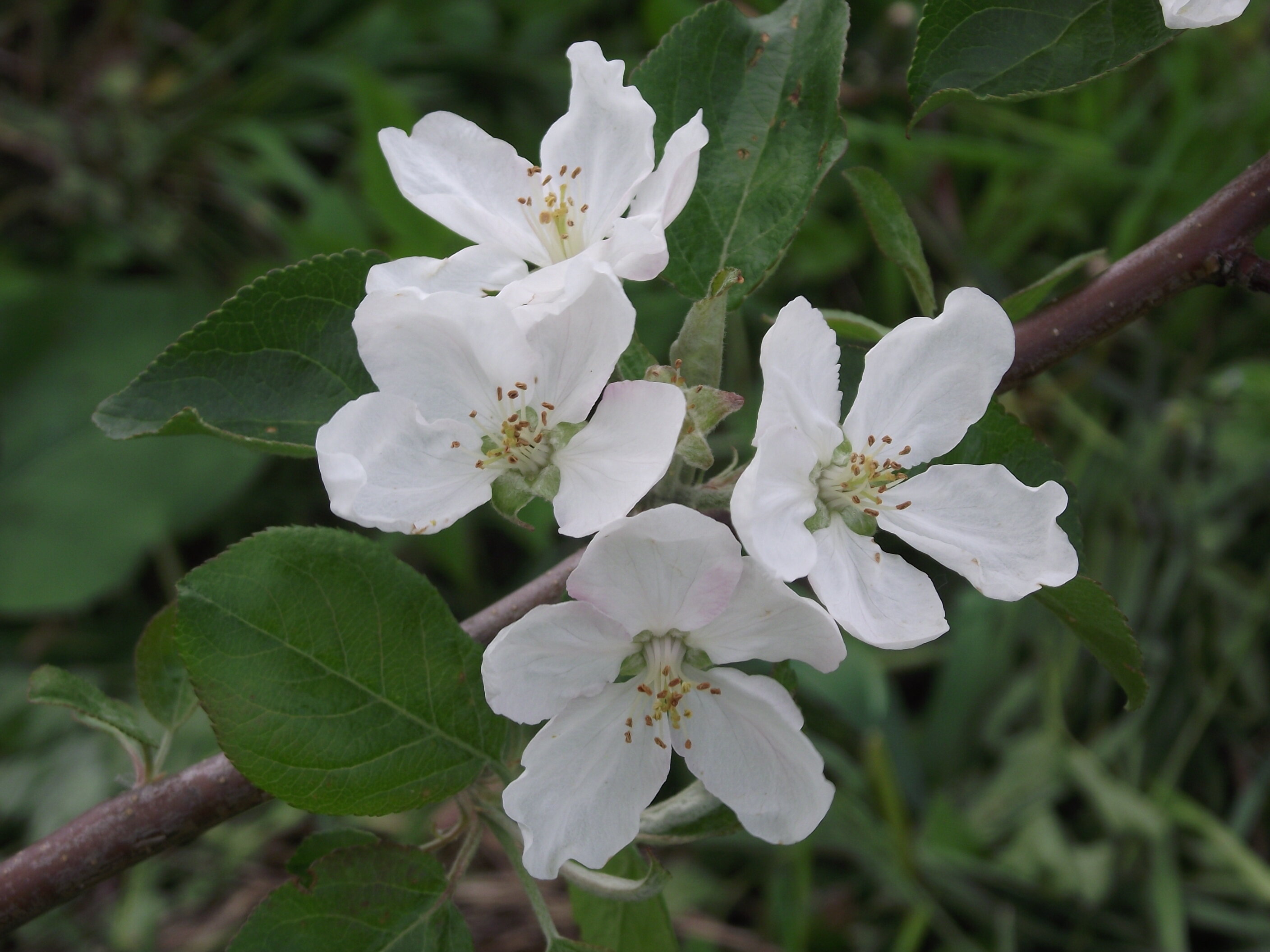Фото Тихий Лог