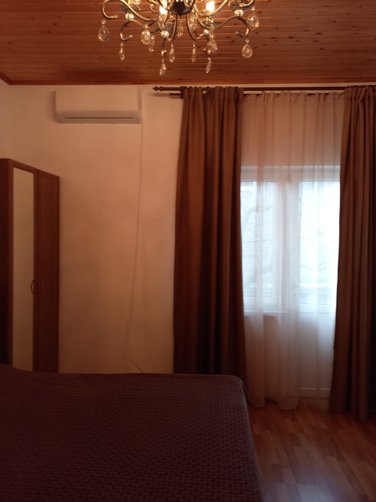 Фото Салангана