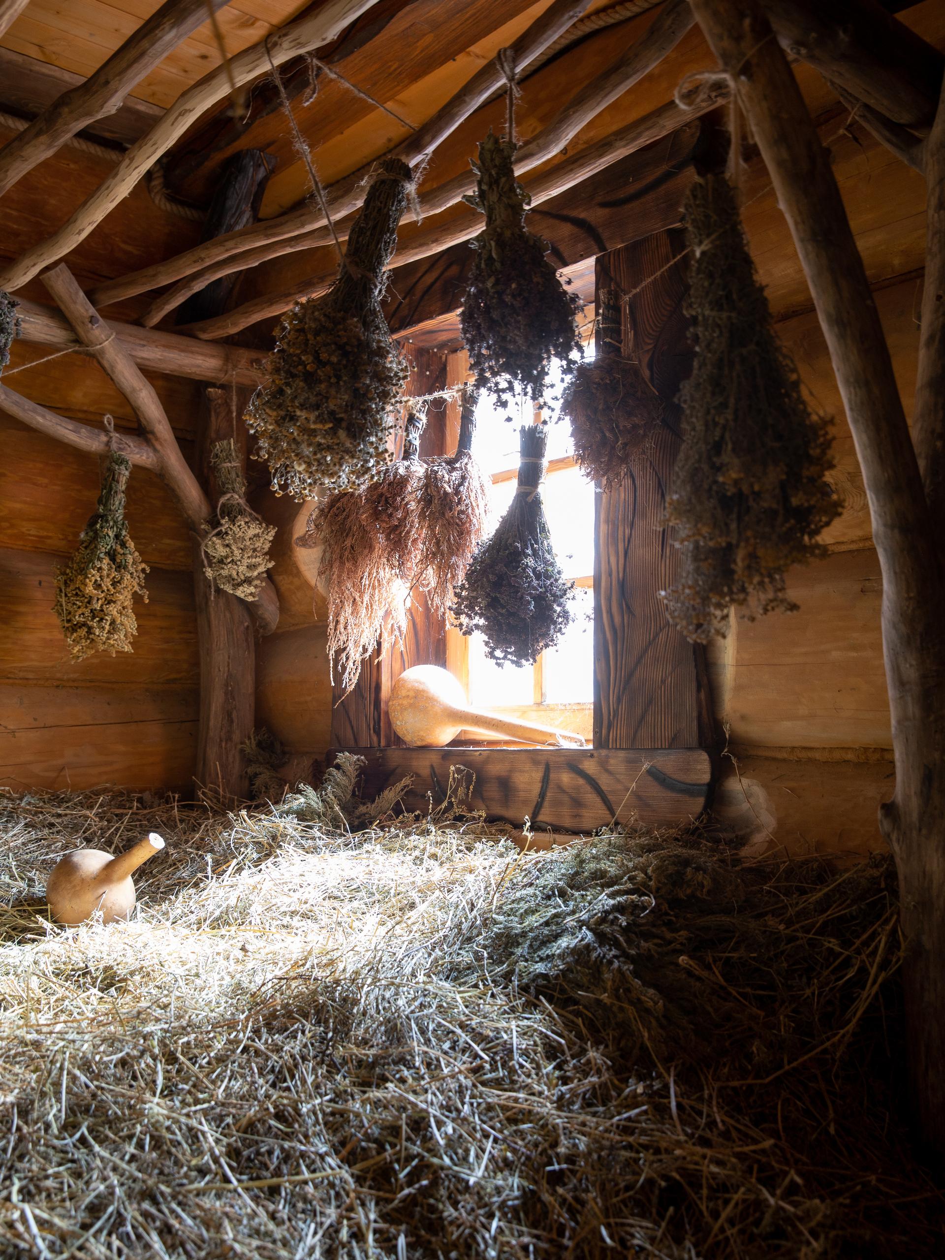 Фото Денница