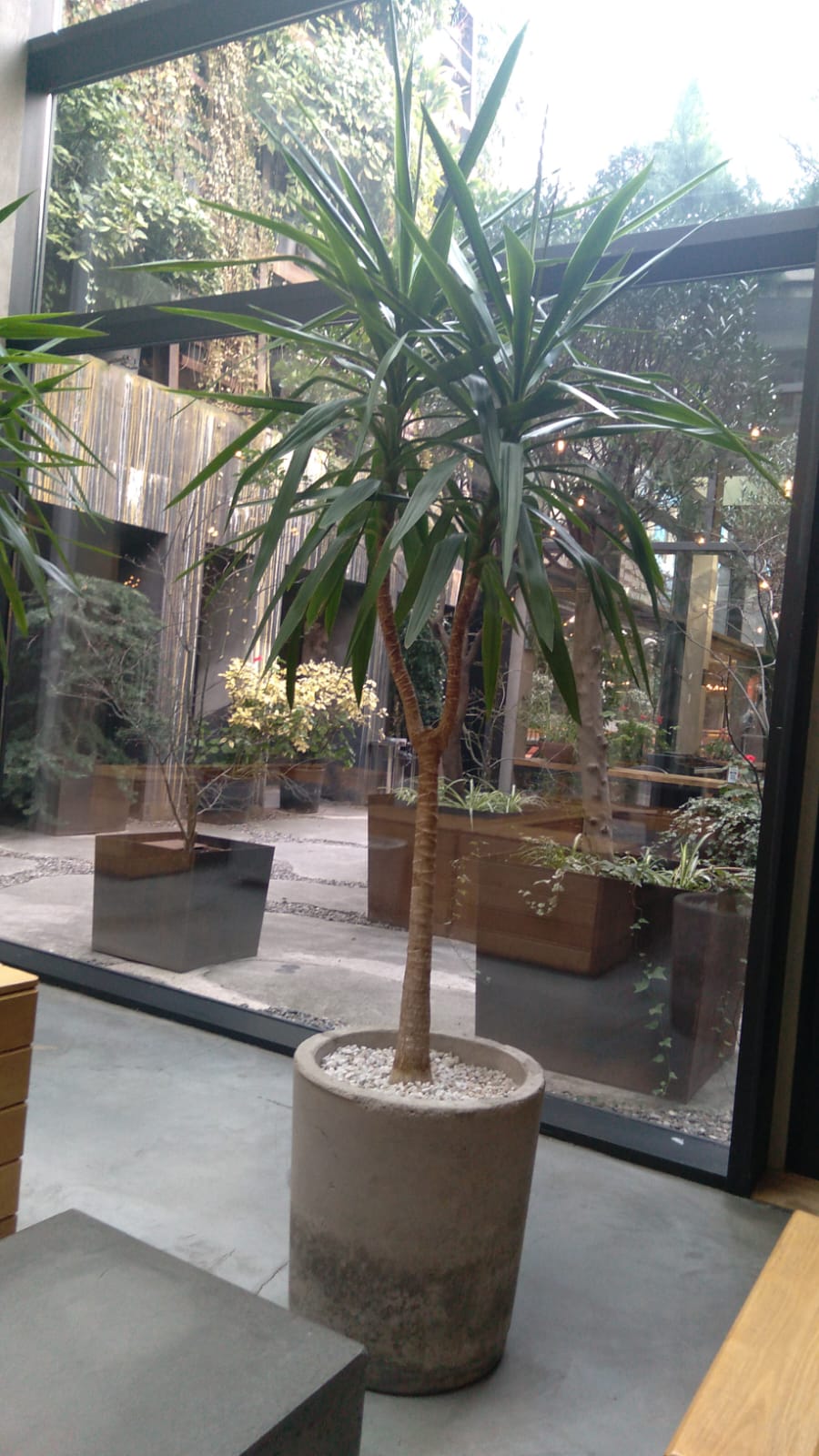 Фото Iota Hotel Tbilisi