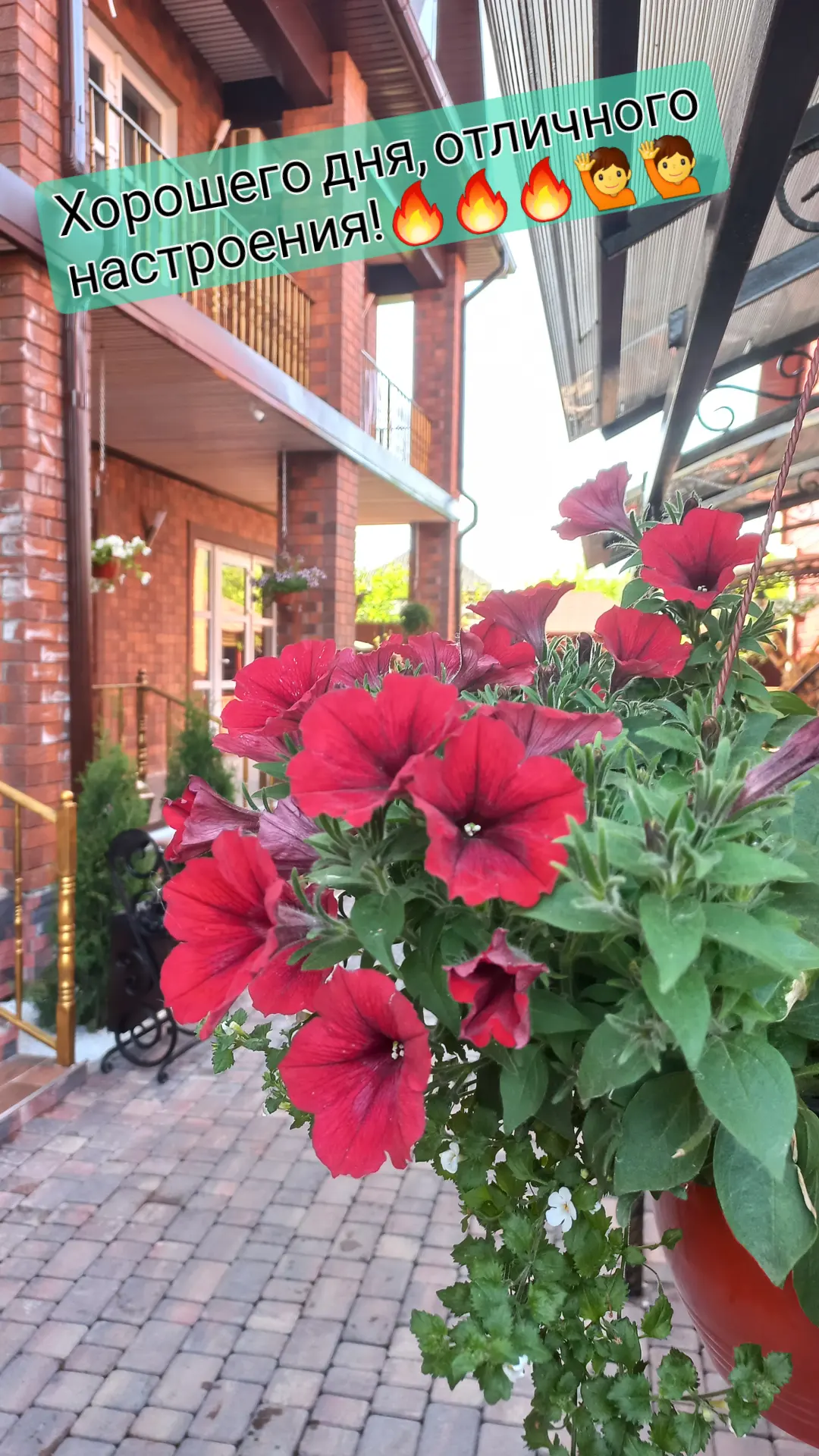 Фото Господин Постоялец