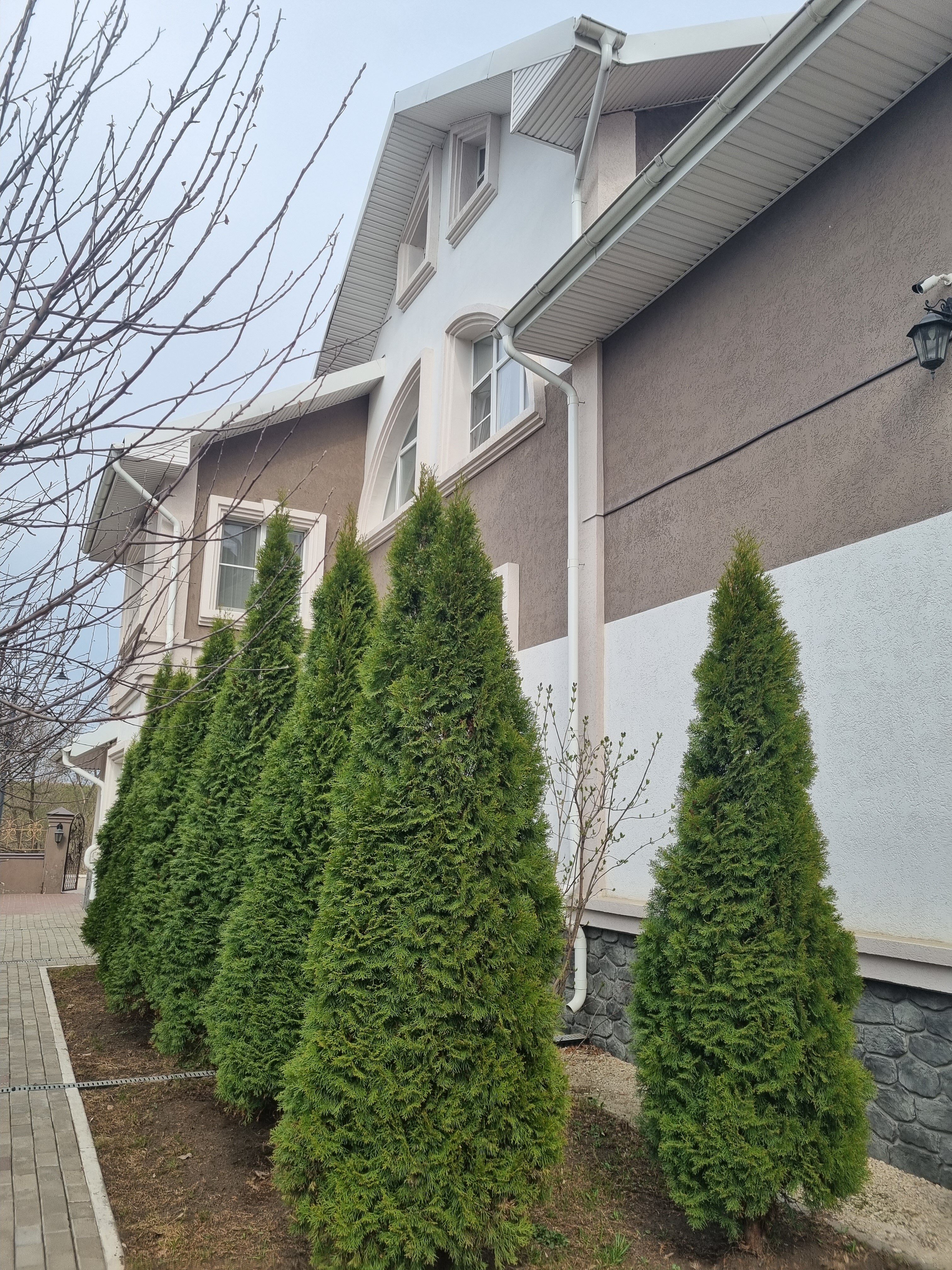 Фото Кремлёвский парк